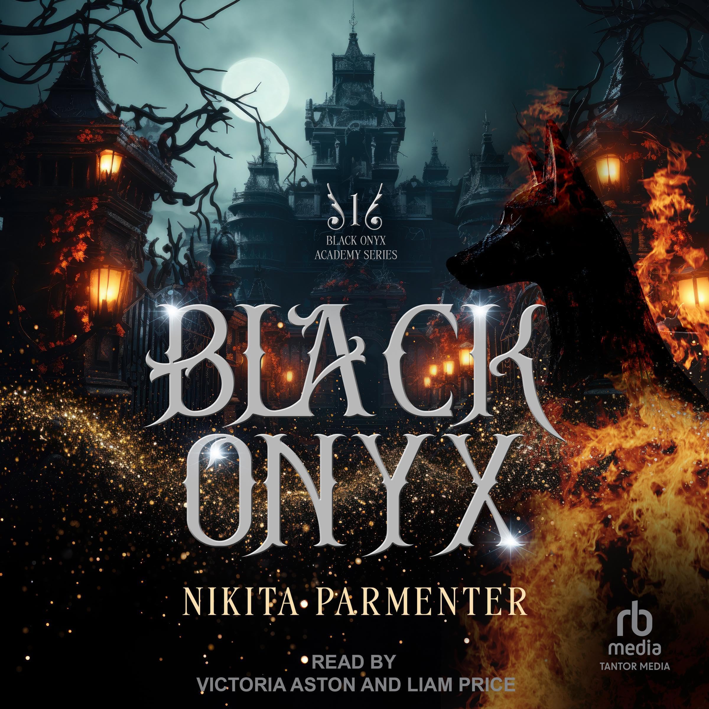 Cover art for Black Onyx