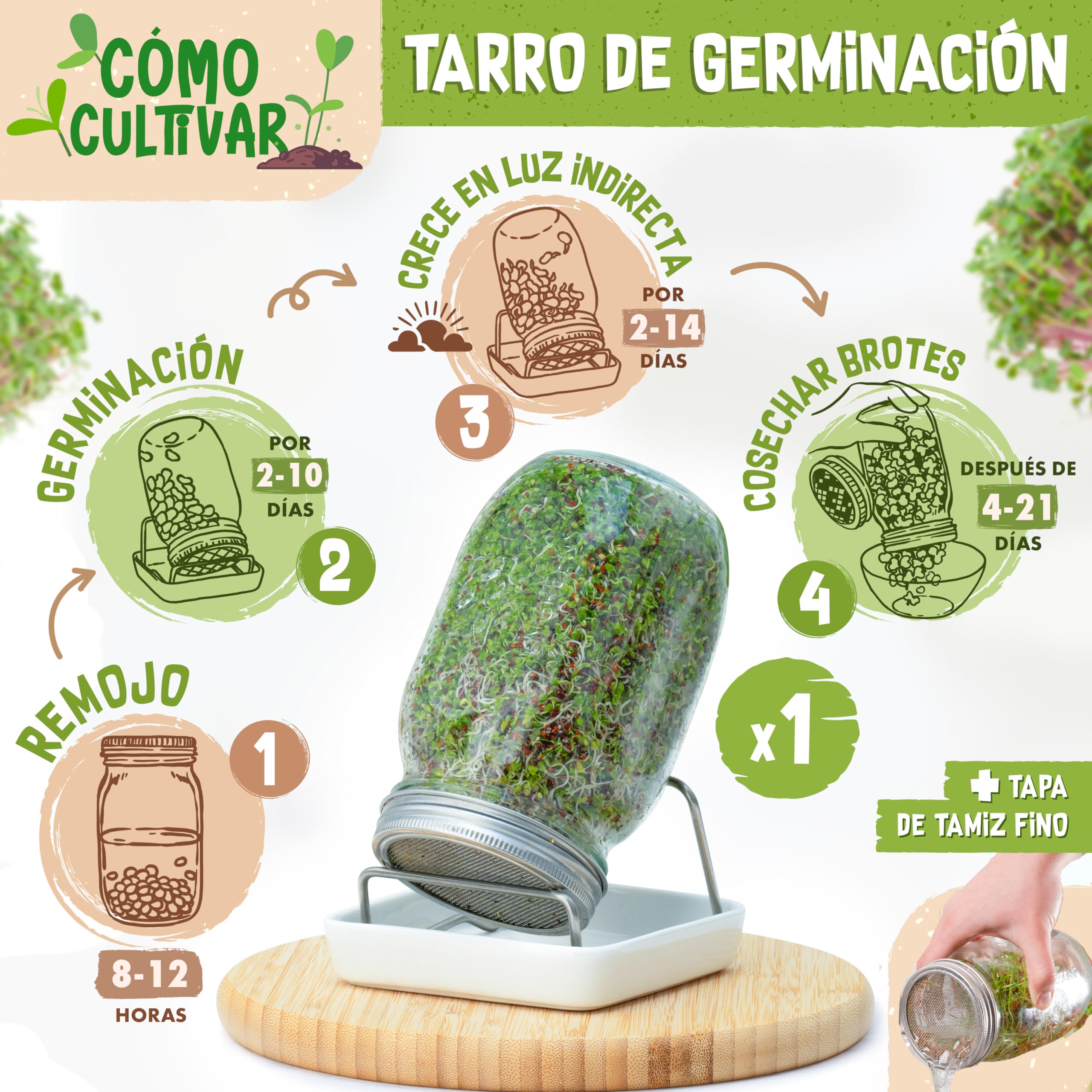 zengreens® Kit de Cultivo de brotes Bio - Set de 1, 2 o 3 tarros de germinación - Incluye Tarro germinador, Bandeja de Cultivo y Semillas para brotes - Incl. guía y videocurso Online