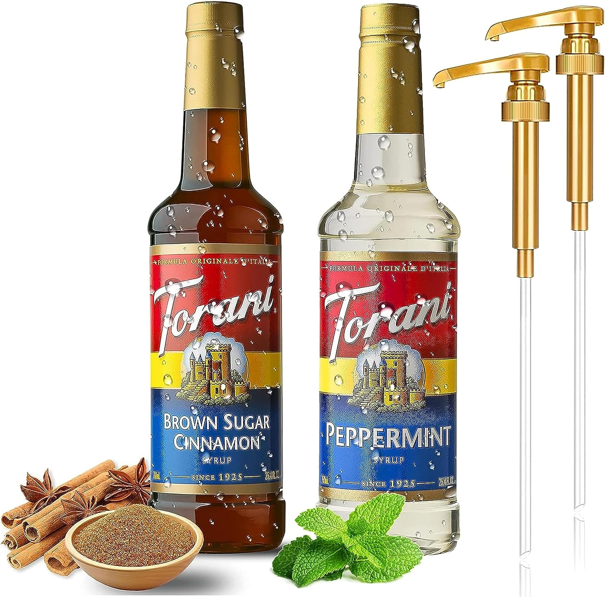 2 Syrup Pump Dispenser Bundle with Torani Coffee Syrup, Peppermint and Brown Sugar Cinnamon Syrup, 25.4 oz Bottles