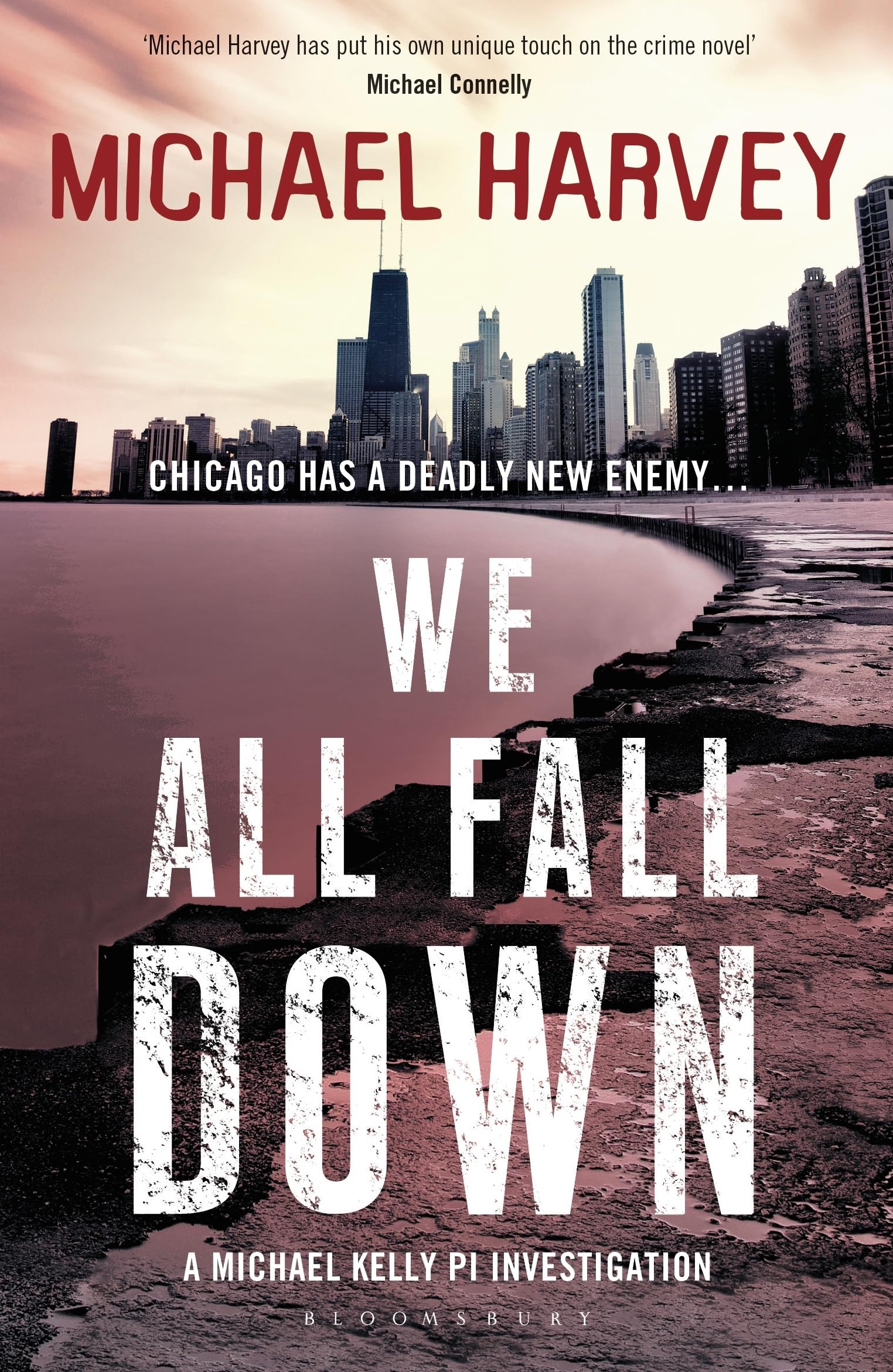 We All Fall Down (A Michael Kelly PI Investigation Book 4)