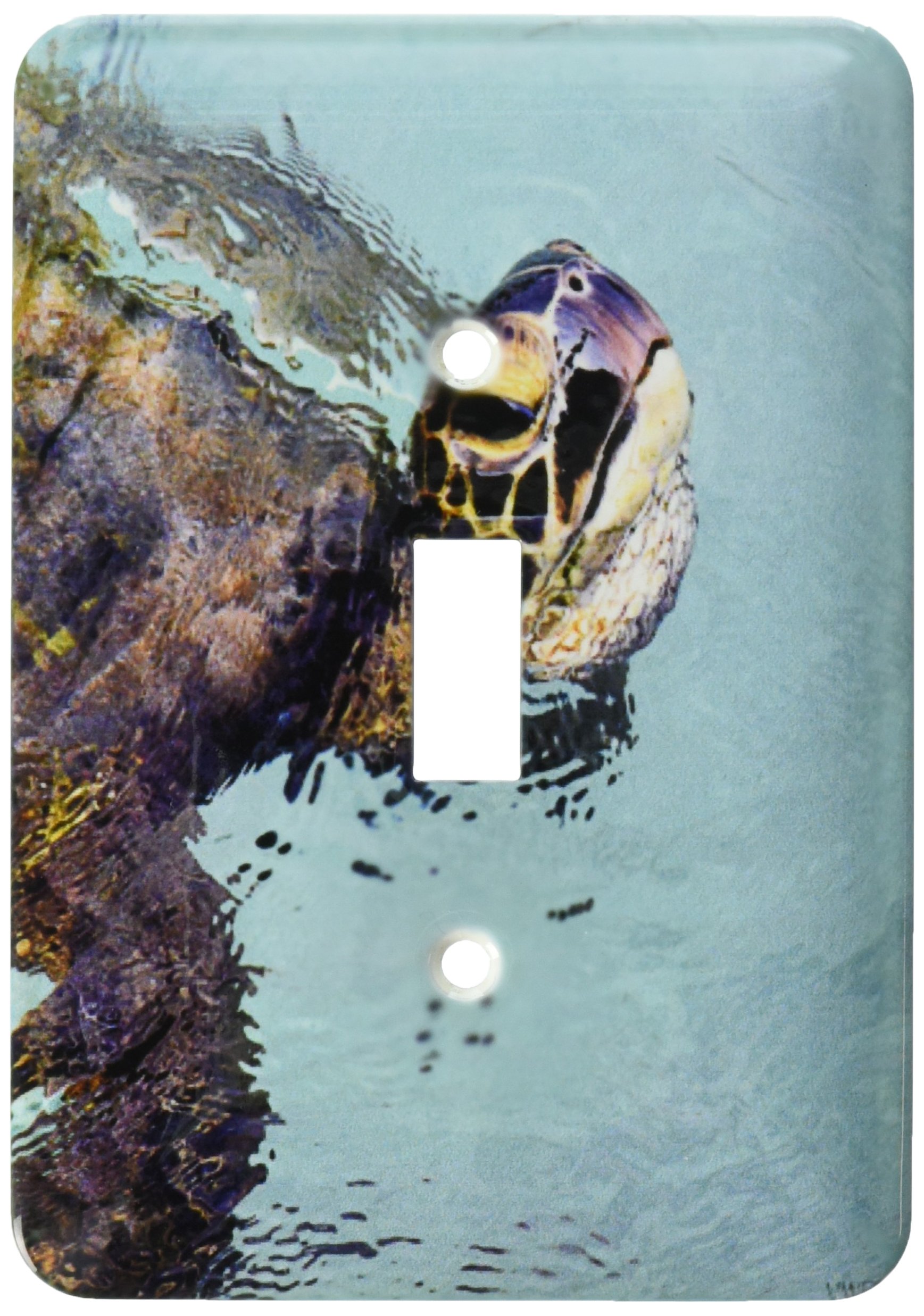 Interrupteur motif tortue Honu Hawaï pour apaiser l'ambiance de votre maison