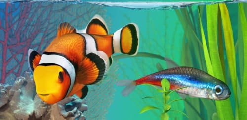 Fish Farm 2 #TOP6