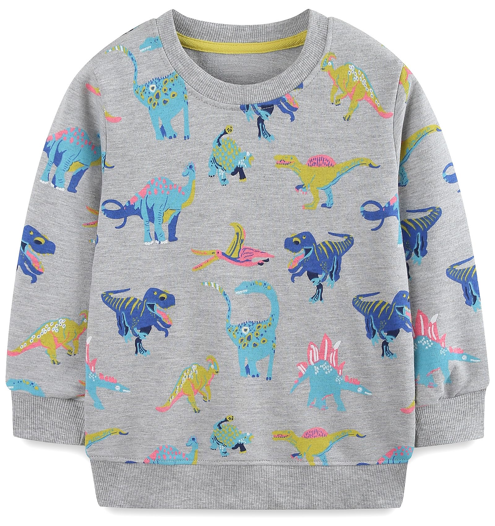 Hongshilian Unisex Kids Cute Cartoon Cotton Sweater Shirt