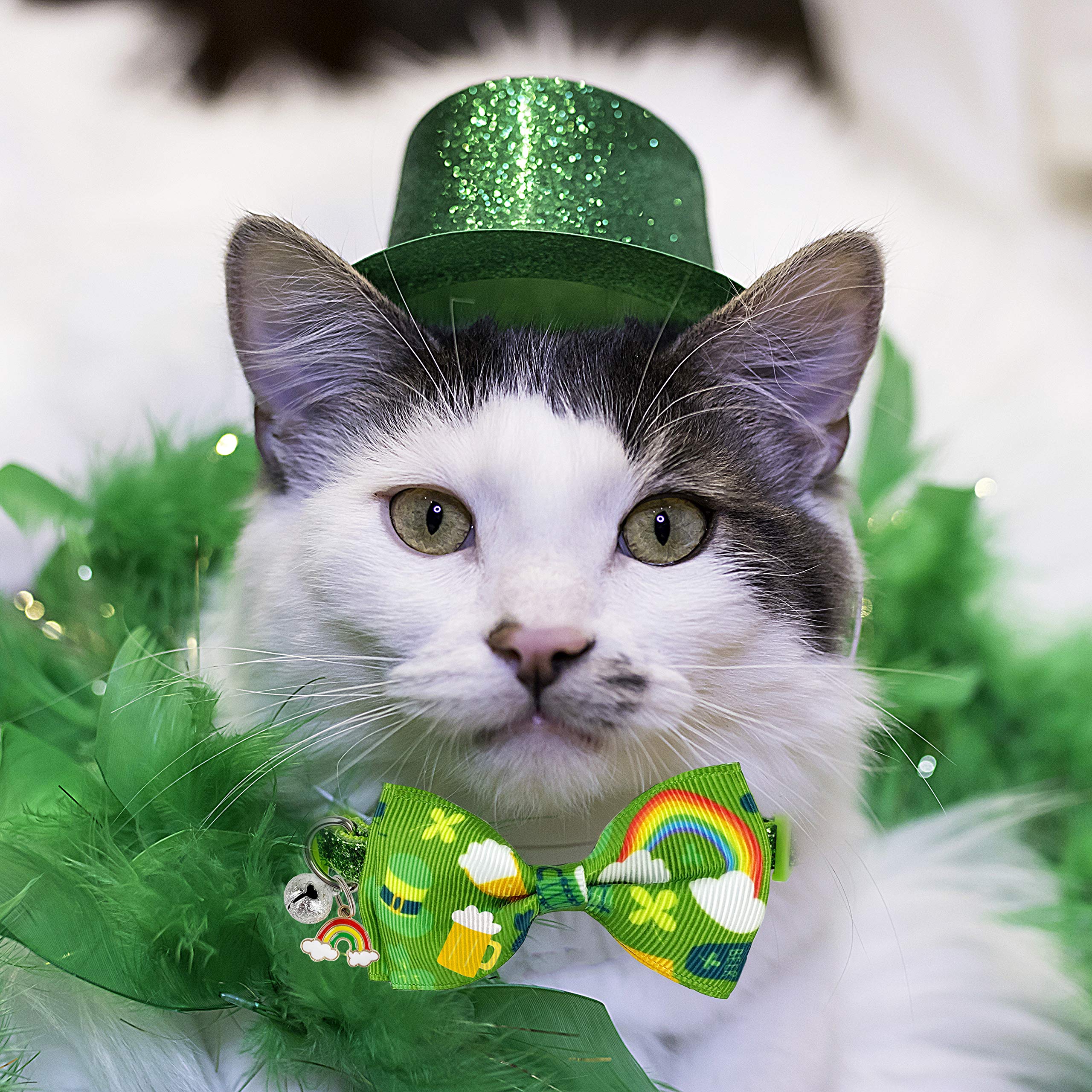 St. Patrick's Cat Halsband mit Fliege und Glöckchen, für Mädchen und Jungen, 2 Stück
