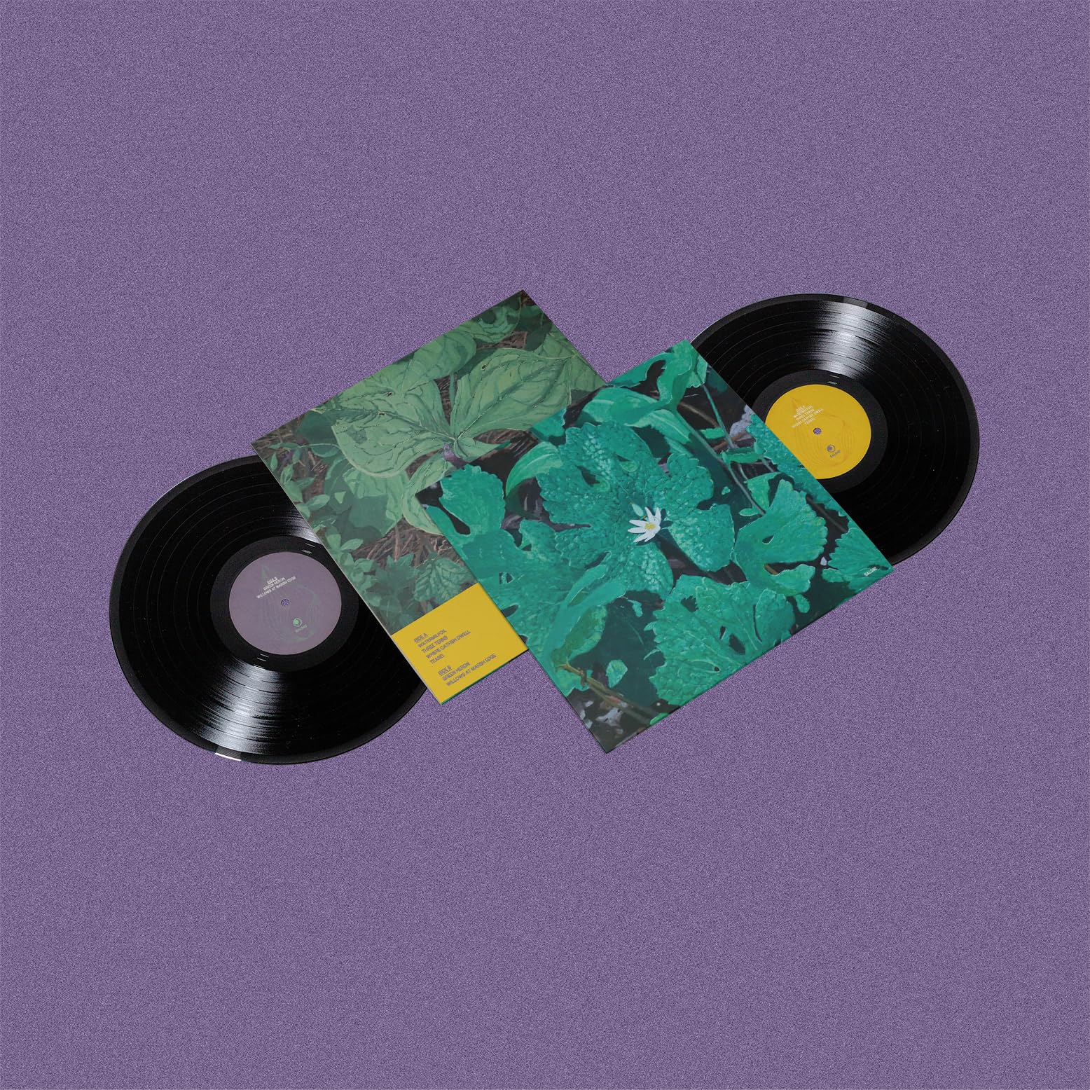 Wetland Interiors [VINYL]