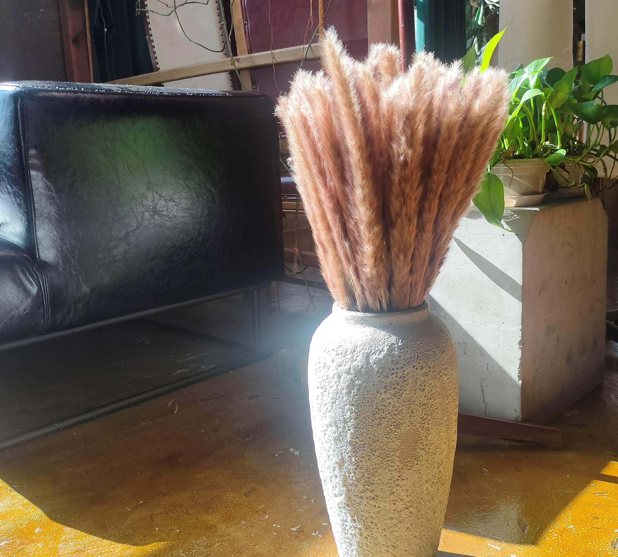 Brown Pampas Grass Decor 45pcs 22.4", Clean Fluffy Not Easy to Fall off, Natural Color Dried Pampas Grass Bouquet for Tall or Short Vase,Wedding Decor Boho Flowers Decor for Home Living Room Table