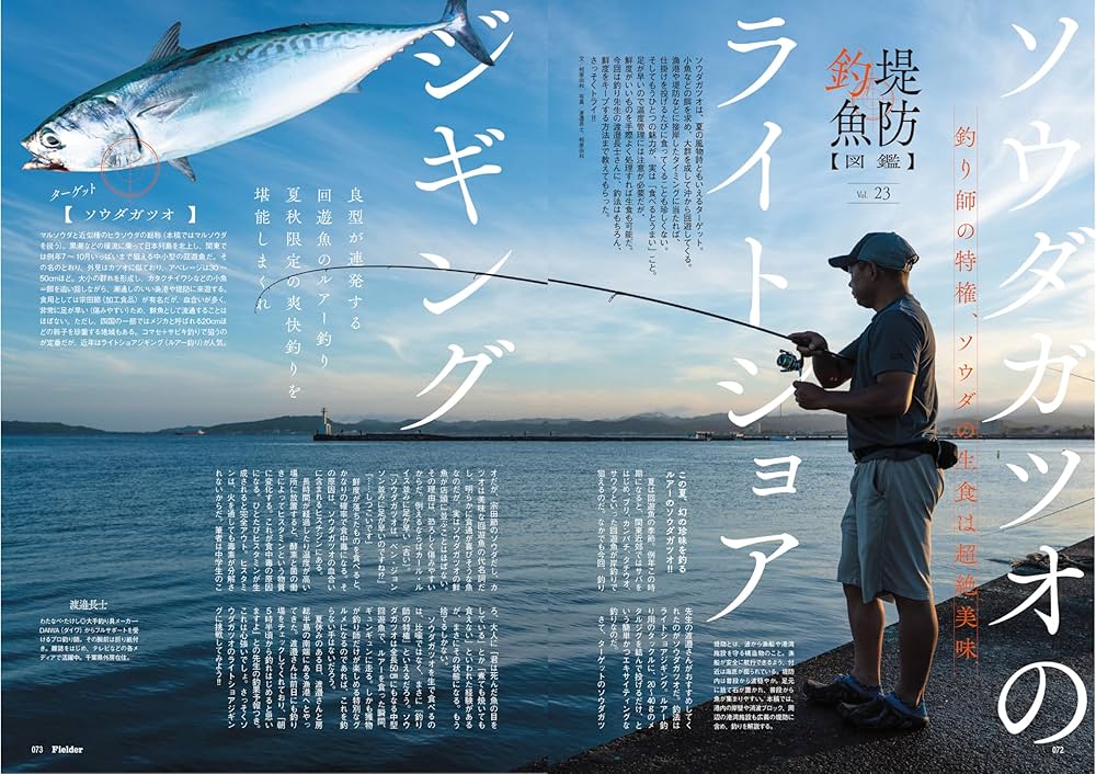 Fielder フィールダー vol.21〜vol.40 20冊まとめ売り Fielder フィールダー vol.21〜vol.40 20冊まとめ売り Fielder