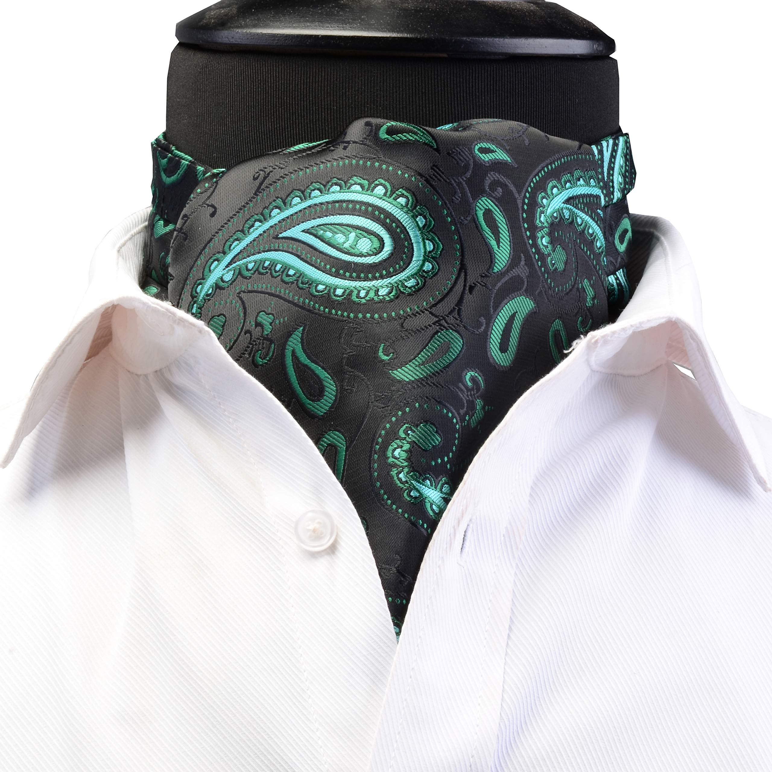 Men's Ascot Paisley Floral Jacquard Woven Gift Cravat Tie-image-24