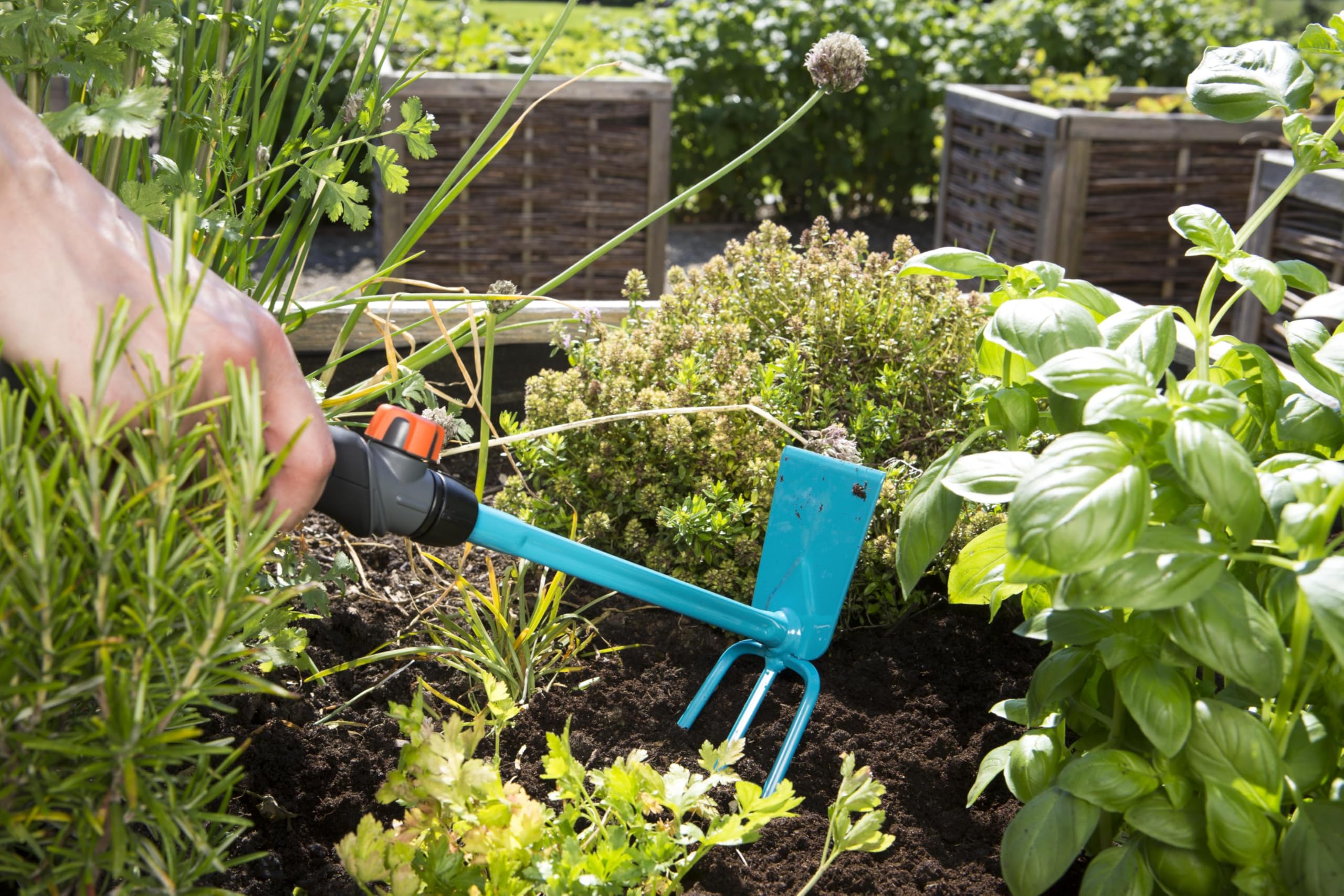 Gardena combisystem motyczka sercowa: 3-zębowa motyczka sercowa do spulchniania/napowietrzania gleby, szerokość robocza 6,5 cm, ergonomiczna rękojeść, zabezpieczenie przed korozją (8915-20)