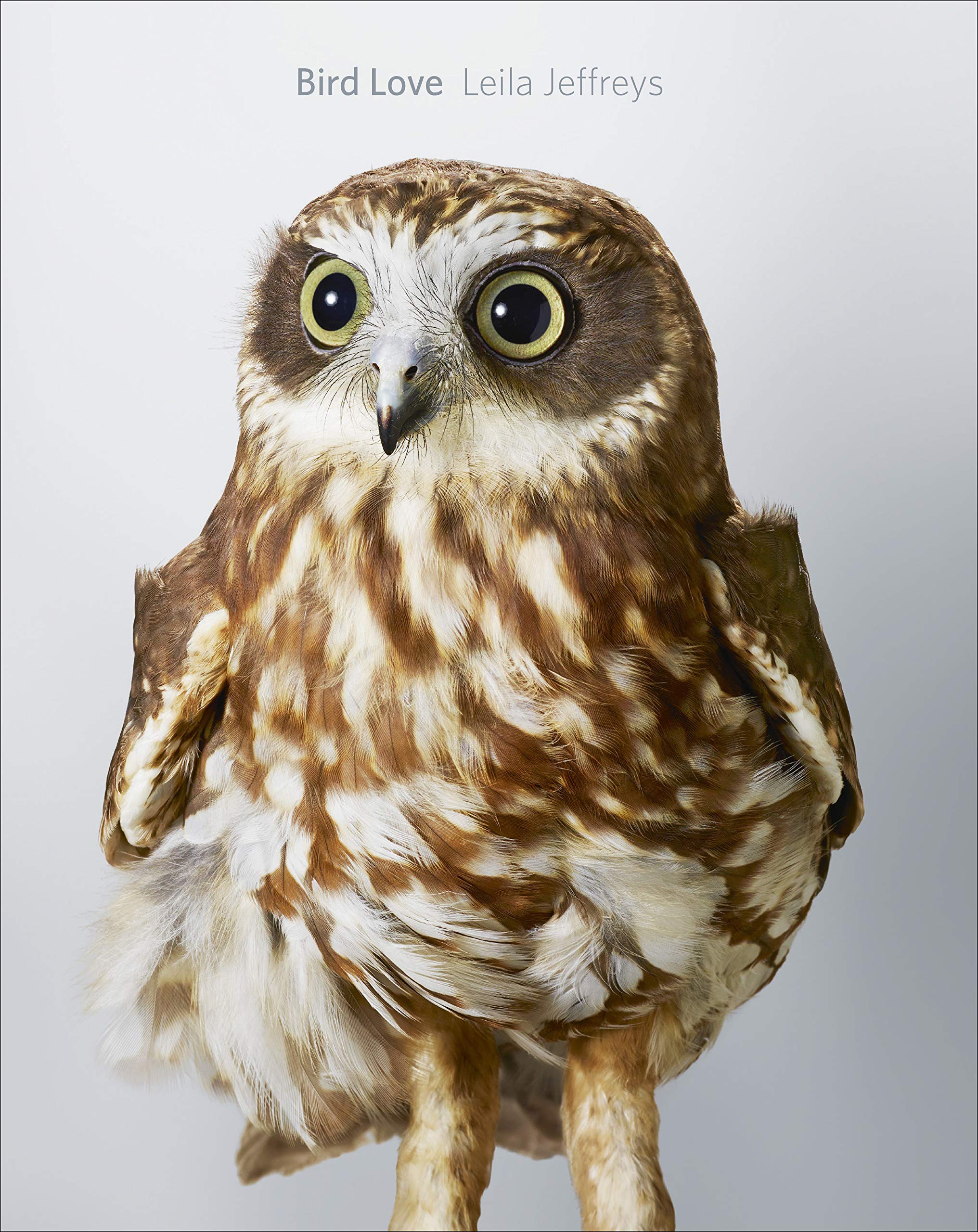 Bird Love: The Photographs