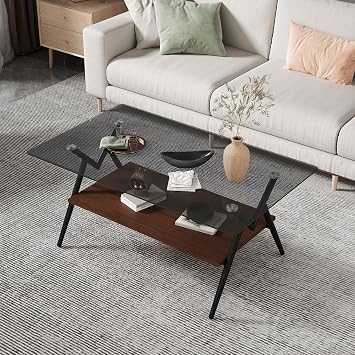 Contemporary Rectangle Glass Coffee Table with Angled Crossed Metal Legs for Living Room, Elegant Smoked Tempered Glass End Table with Wooden Lower Shelf, Black Natural Color