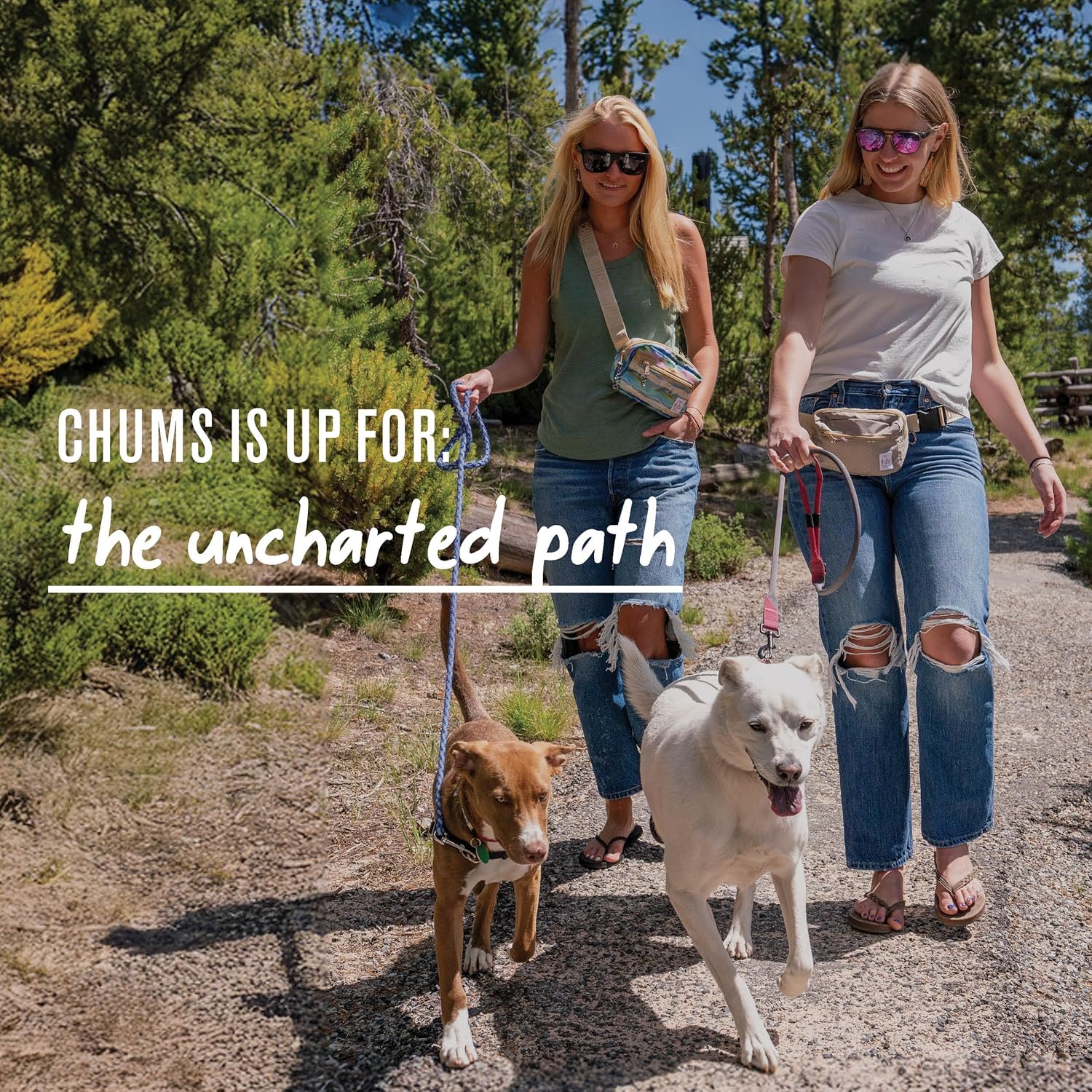 Chums Switchpack Waist Pack – Lightweight 3-in-1 Crossbody Bag & Tactical Fanny Pack for Men & Women, Travel Belt & Sling Bag - Palm Tree - Image 5