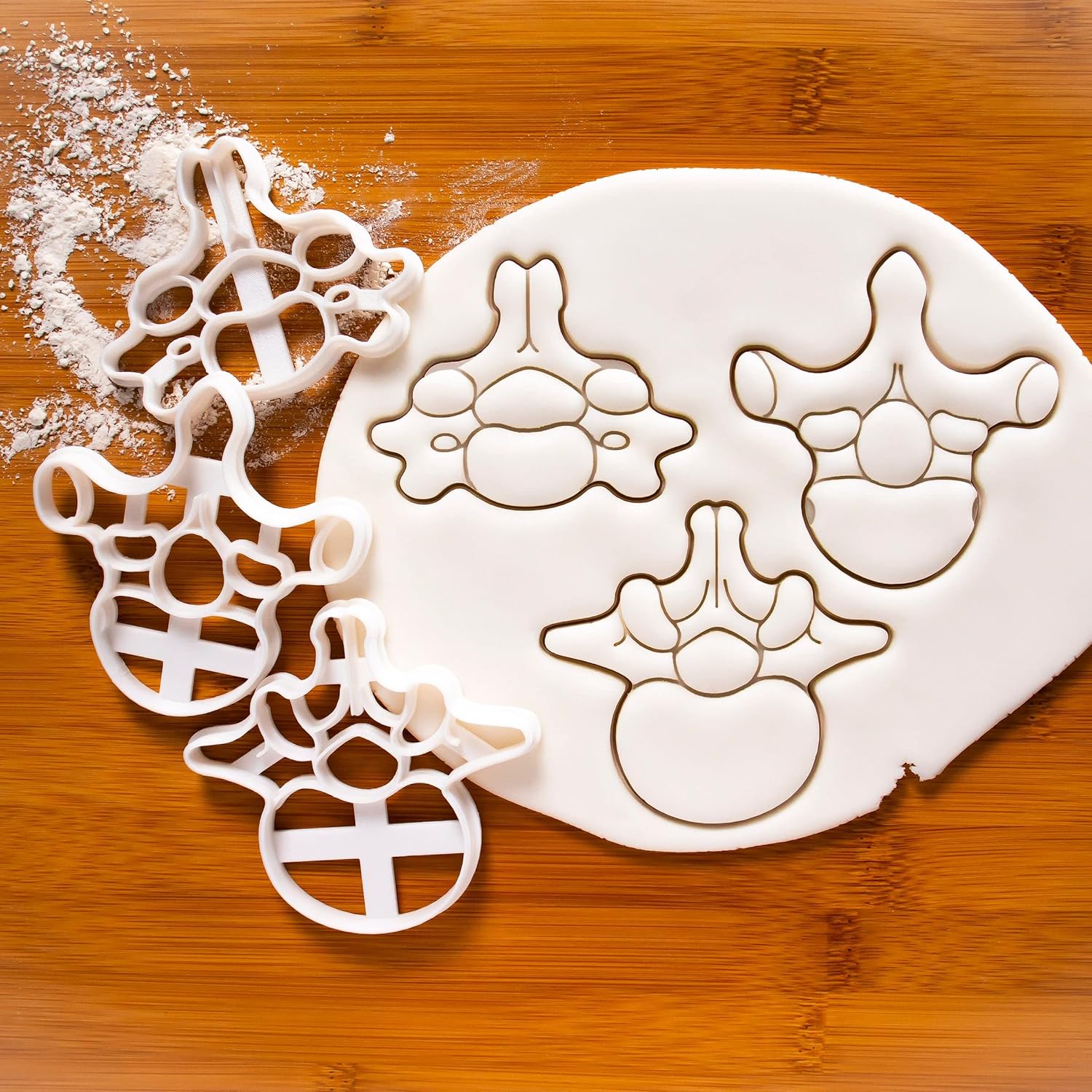 Set of 3 Vertebrae cookie cutters (Designs: Cervical, Lumbar, Thoracic Vertebra), 3 pieces - Bakerlogy