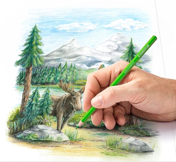 STAEDTLER 146C M12; Metallic Box with 12 Assorted Colored Pencils and Soft Lead