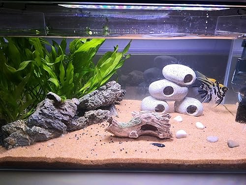 Miniatura 7 de hygger Adorno pequeño para acuario, tronco de madera de poliresina, tronco de pecera, decoración para tanque de hasta 20 galones, accesorios de