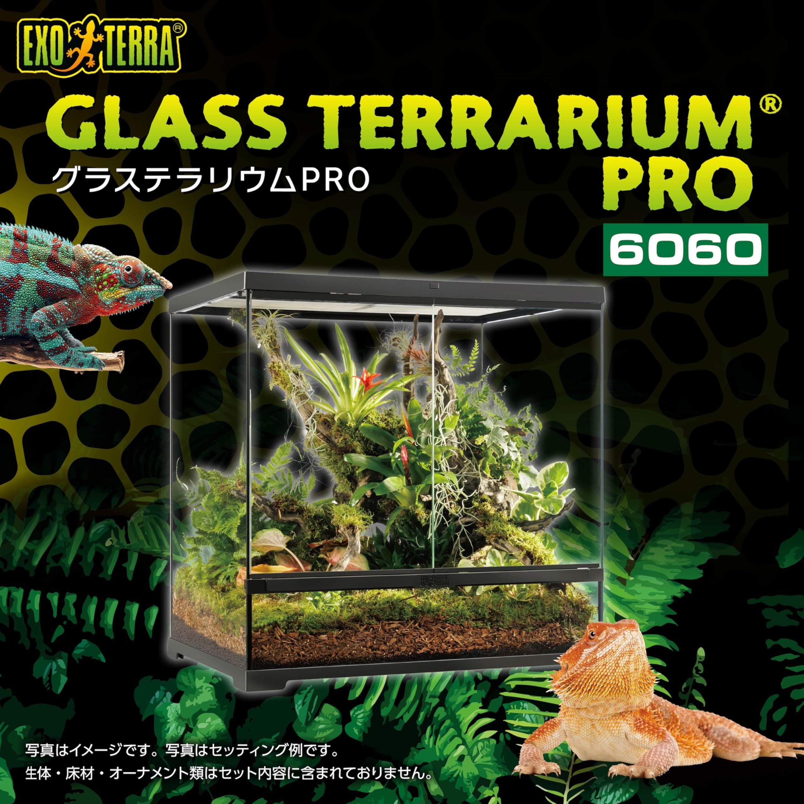 Amazon | エキゾテラ EXOTERRA グラステラリウムPRO6060 PT4409 組立