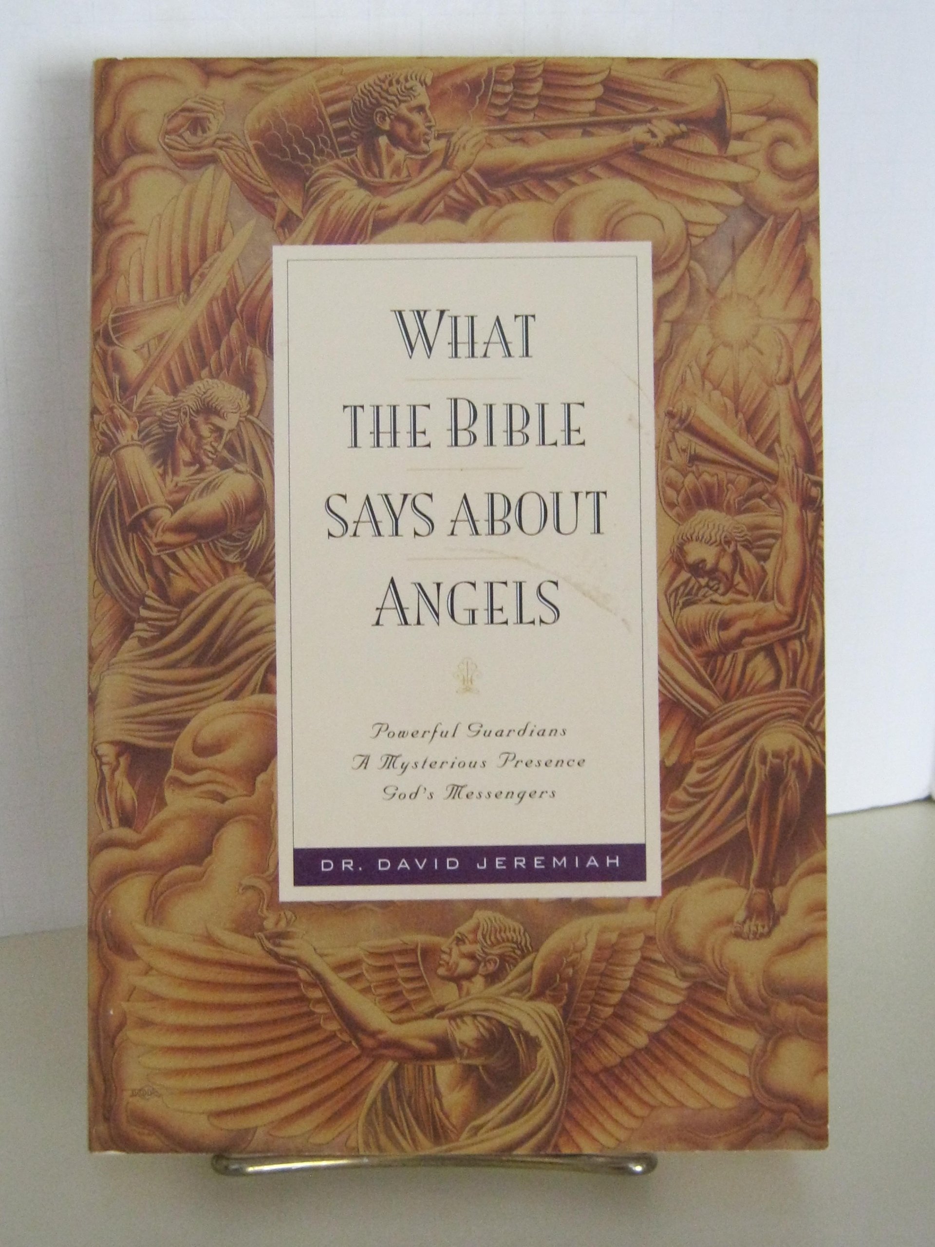 Buy What the Bible Says about Angels โ BookShops.in