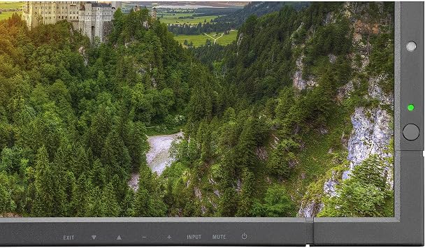 NEC MultiSync X981UHD-2 98 LED 4K Ultra HD Black public display