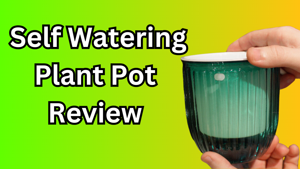 Josteve Self Watering Hanging Planter- Review on Amazon Live