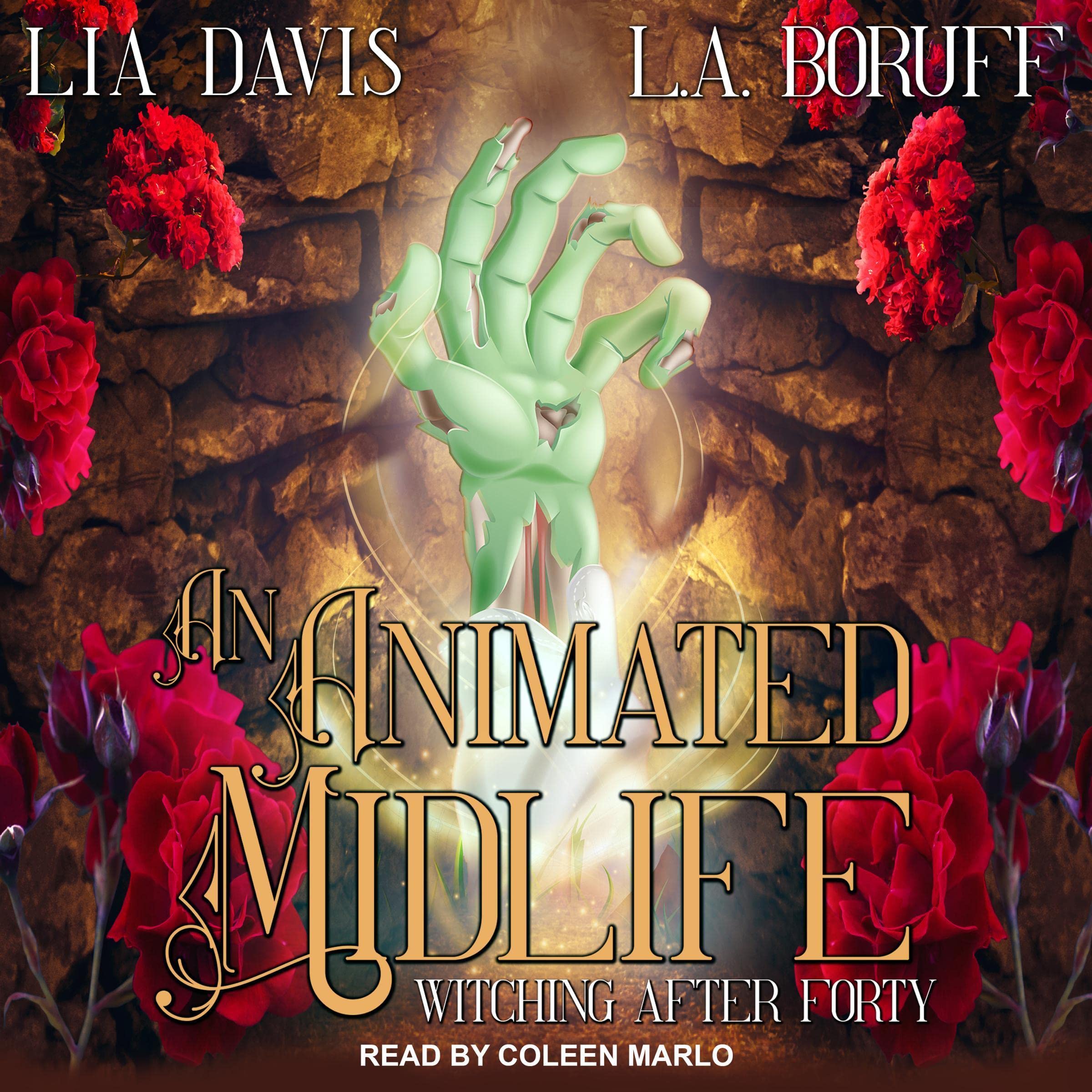 Cover art for An Animated Midlife