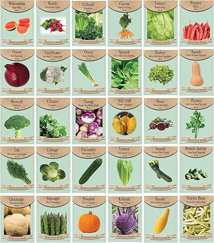 30 paquetes surtidos de semillas de verduras, más de 15 variedades, todas las semillas son reliquias, 100% no transgénicas