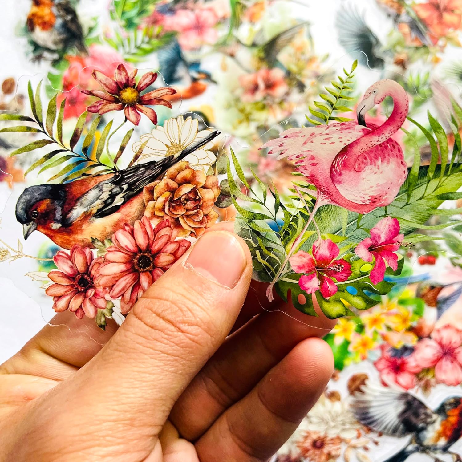 180 Pcs Transparent Flower Bird Stickers – Watercolor Floral Scrapbooking Supplies with Hummingbirds, Flamingos, Parrots – Clear Nature Stickers for Journals & Resin Art Crafts image 4
