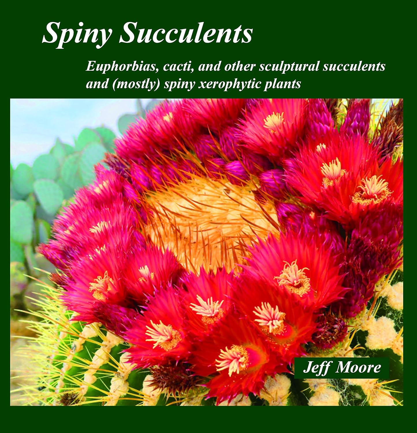 Spiny Succulents: Euphorbias, Cacti, and Other Sculptural Succulents and (Mostly) Spiny Xerophytic Plants      Paperback – October 1, 2019