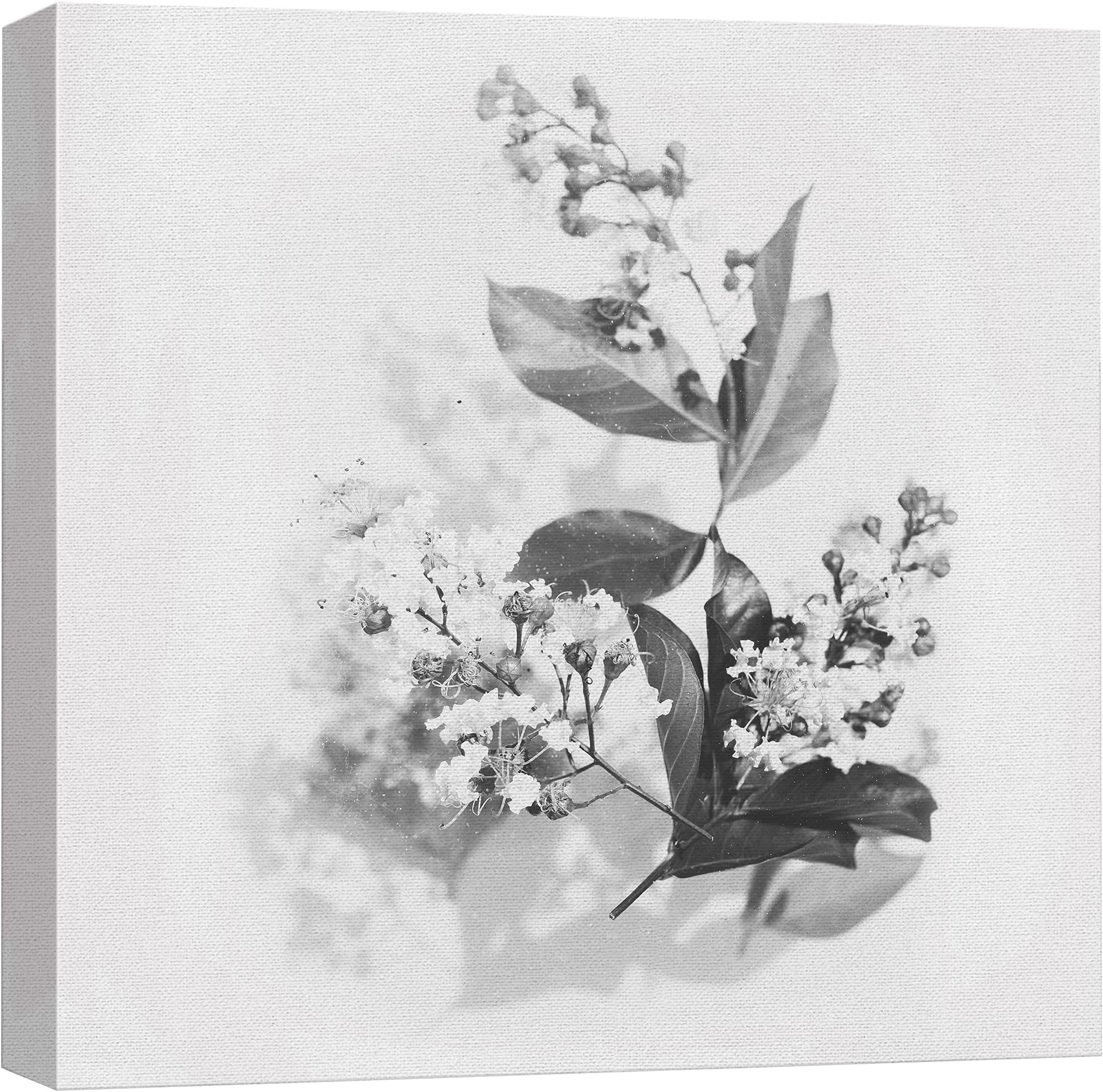 wall26 Canvas Print Wall Art Black & White Small Flower Blossoms Nature Wilderness Photography Realism Chic Scenic Relax/Calm Multicolor for Living Room, Bedroom, Office - 16"x16"