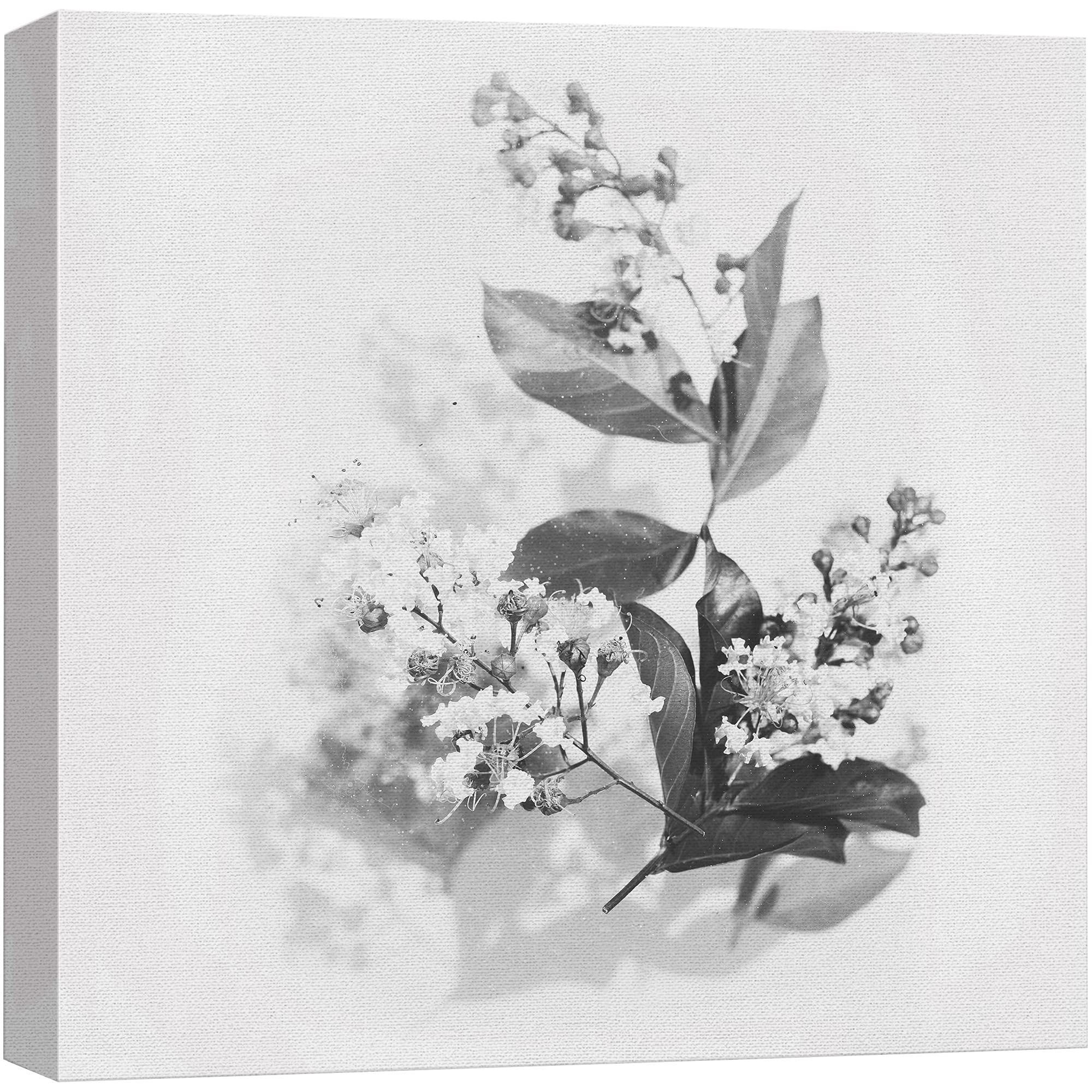 wall26 Canvas Print Wall Art Black & White Small Flower Blossoms Nature Wilderness Photography Realism Chic Scenic Relax/Calm Multicolor for Living Room, Bedroom, Office - 16"x16"