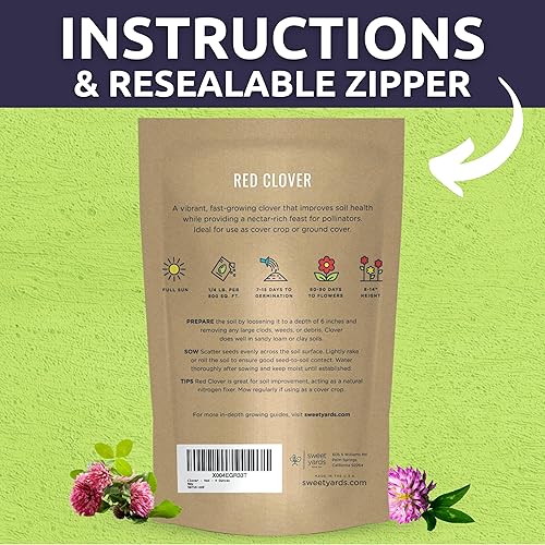 Miniatura 4 de Red Clover - Bolsa a granel de 14 libra - 60,000 semillas de flores para plantar - Trifolium pratense