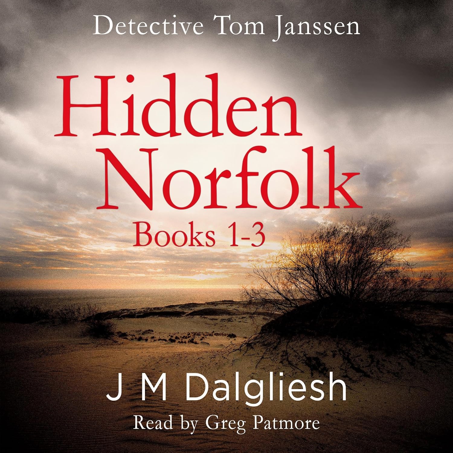 Detective Tom Janssen Hidden Norfolk, Books 13 The Hidden