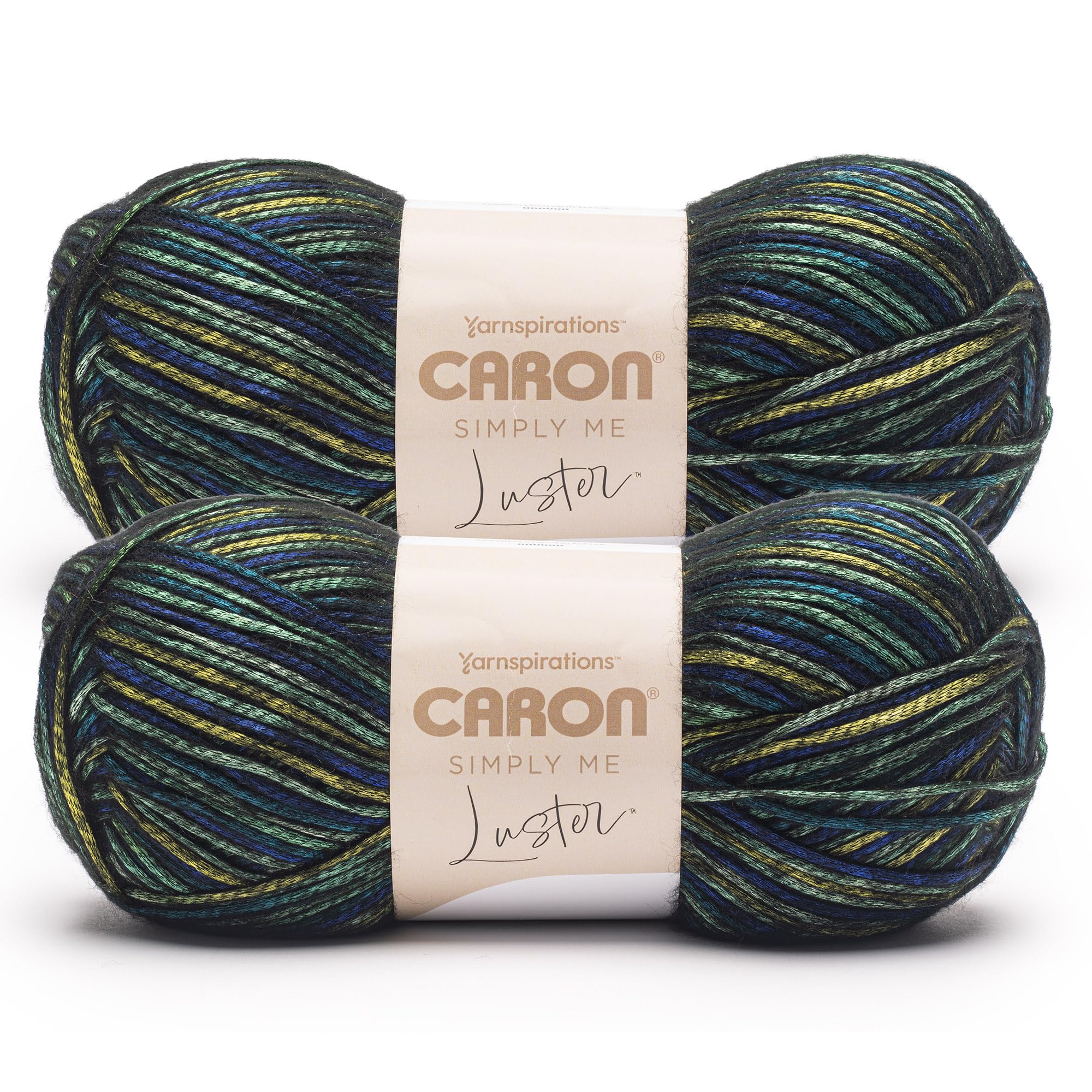 Amazon.com: Caron Simply Me Luster Adventurine Yarn - 2 Pack of