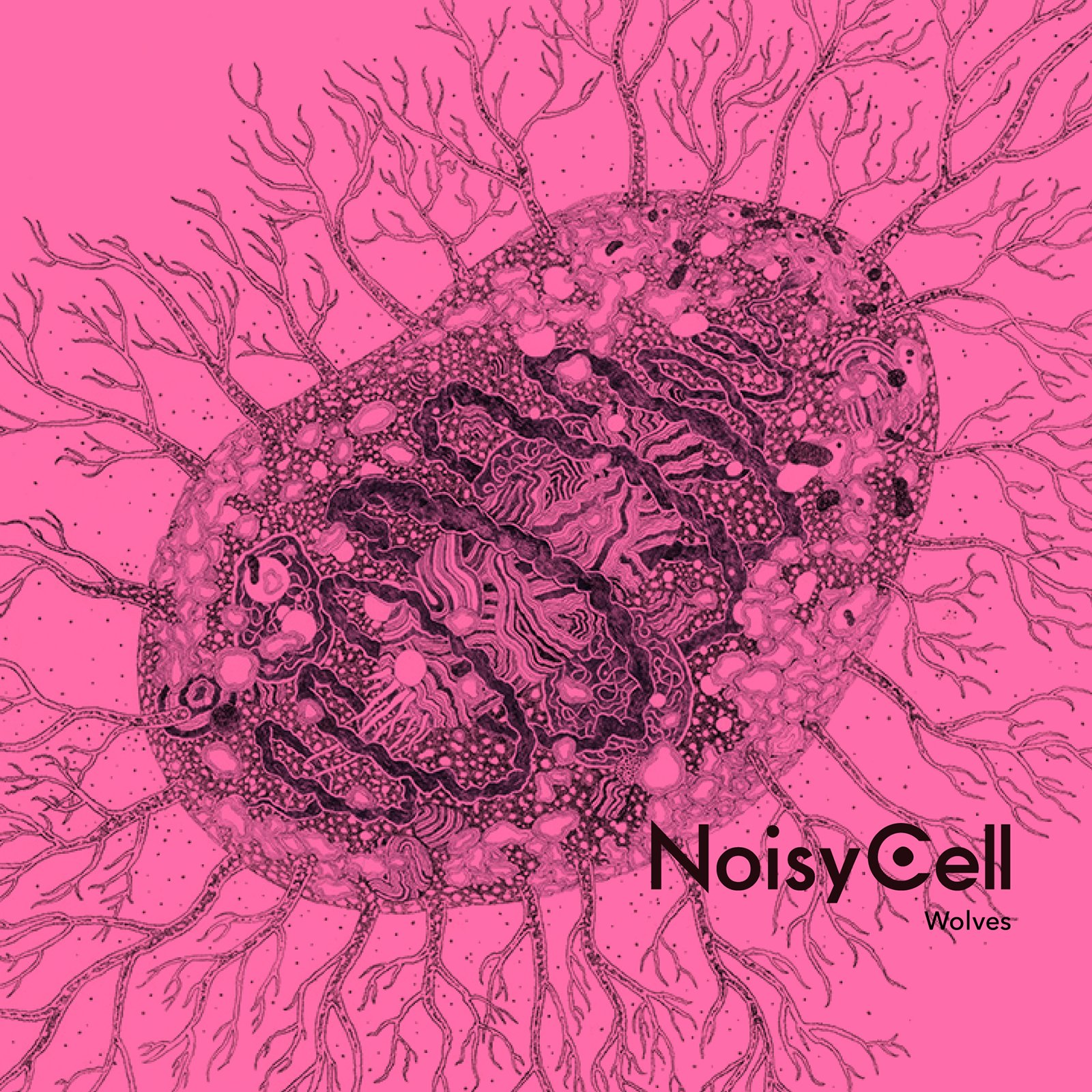 邦楽 Noisy Cell Across CD Noisy Cell / Across CD