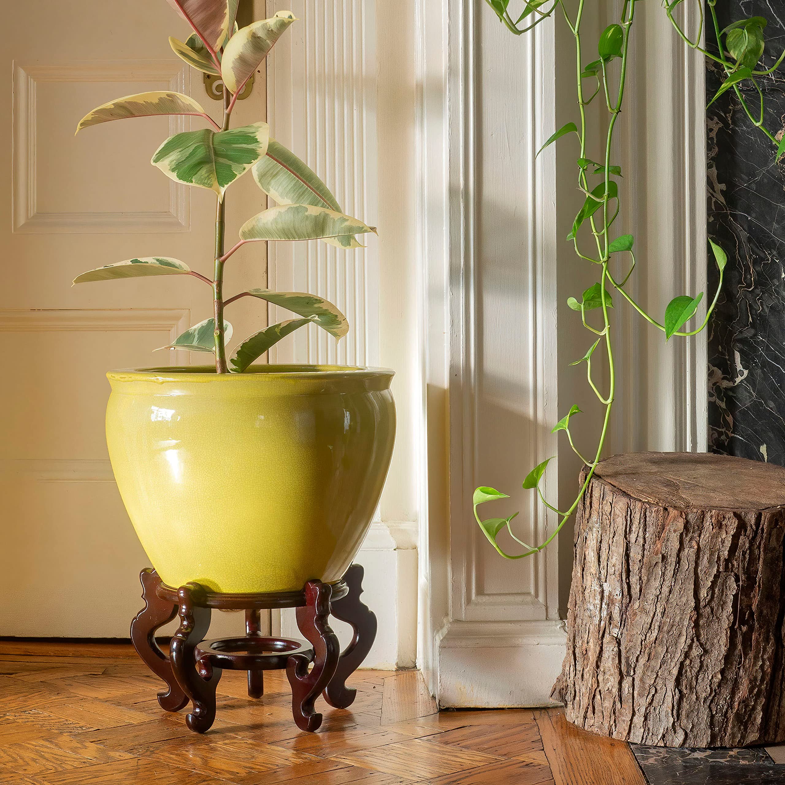 Red Lantern 14 Daffodil Yellow Fishbowl Planter