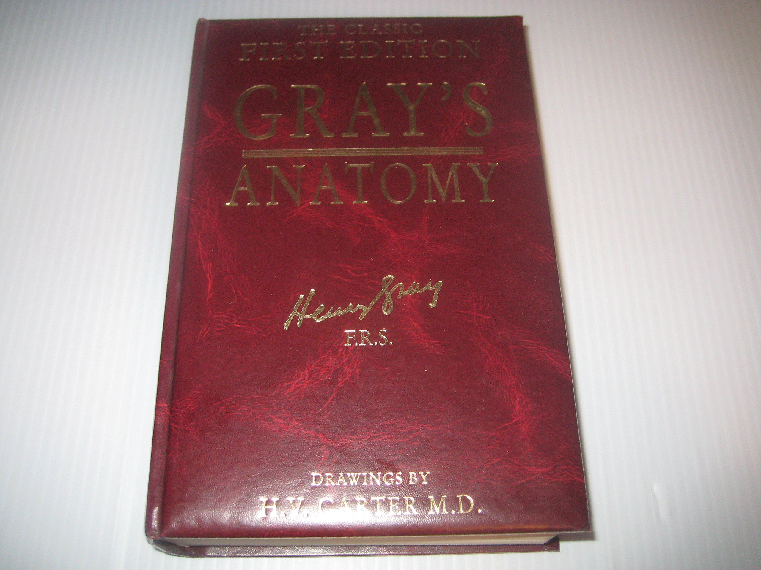 Gray's Anatomy
