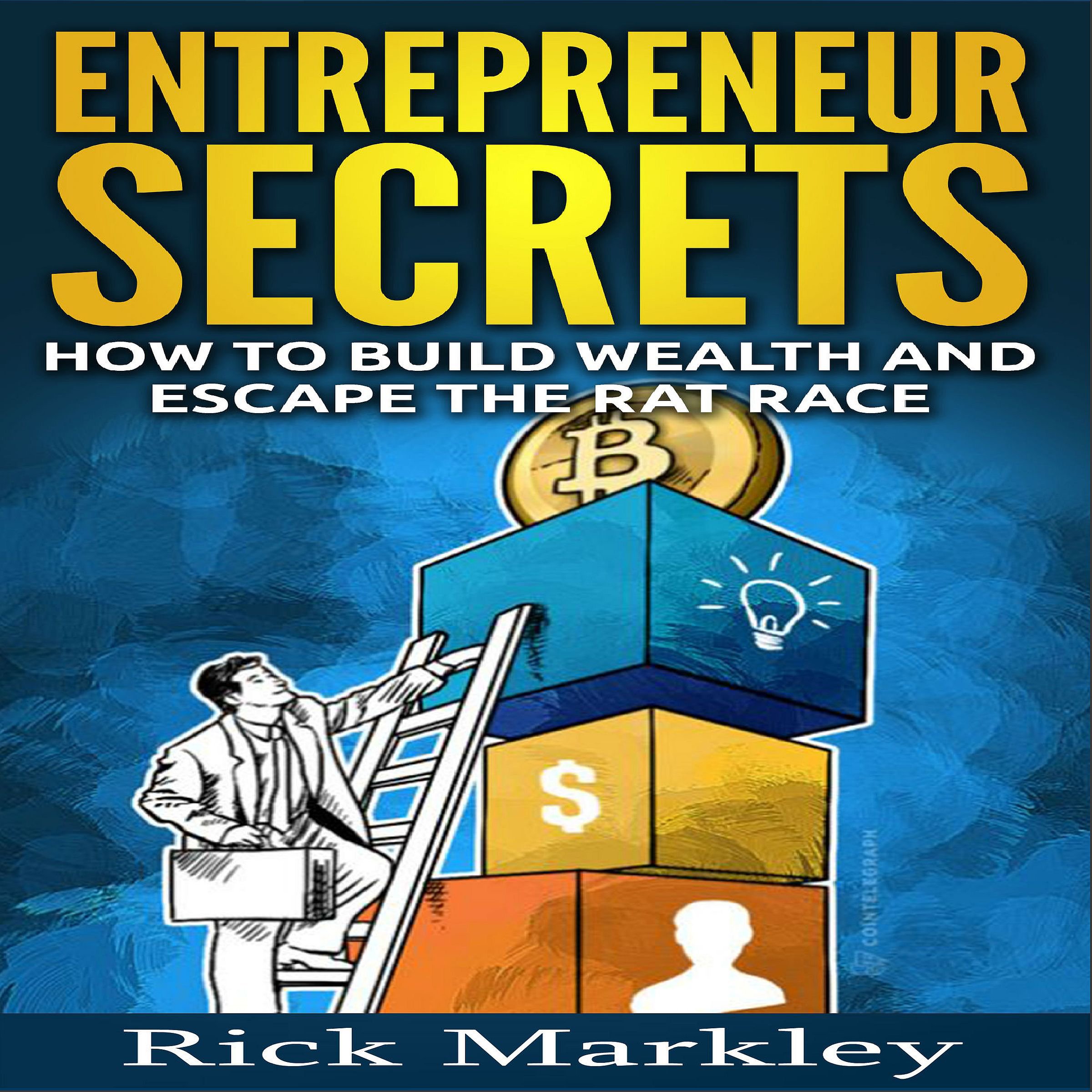 Cover art for Entrepreneur Secrets