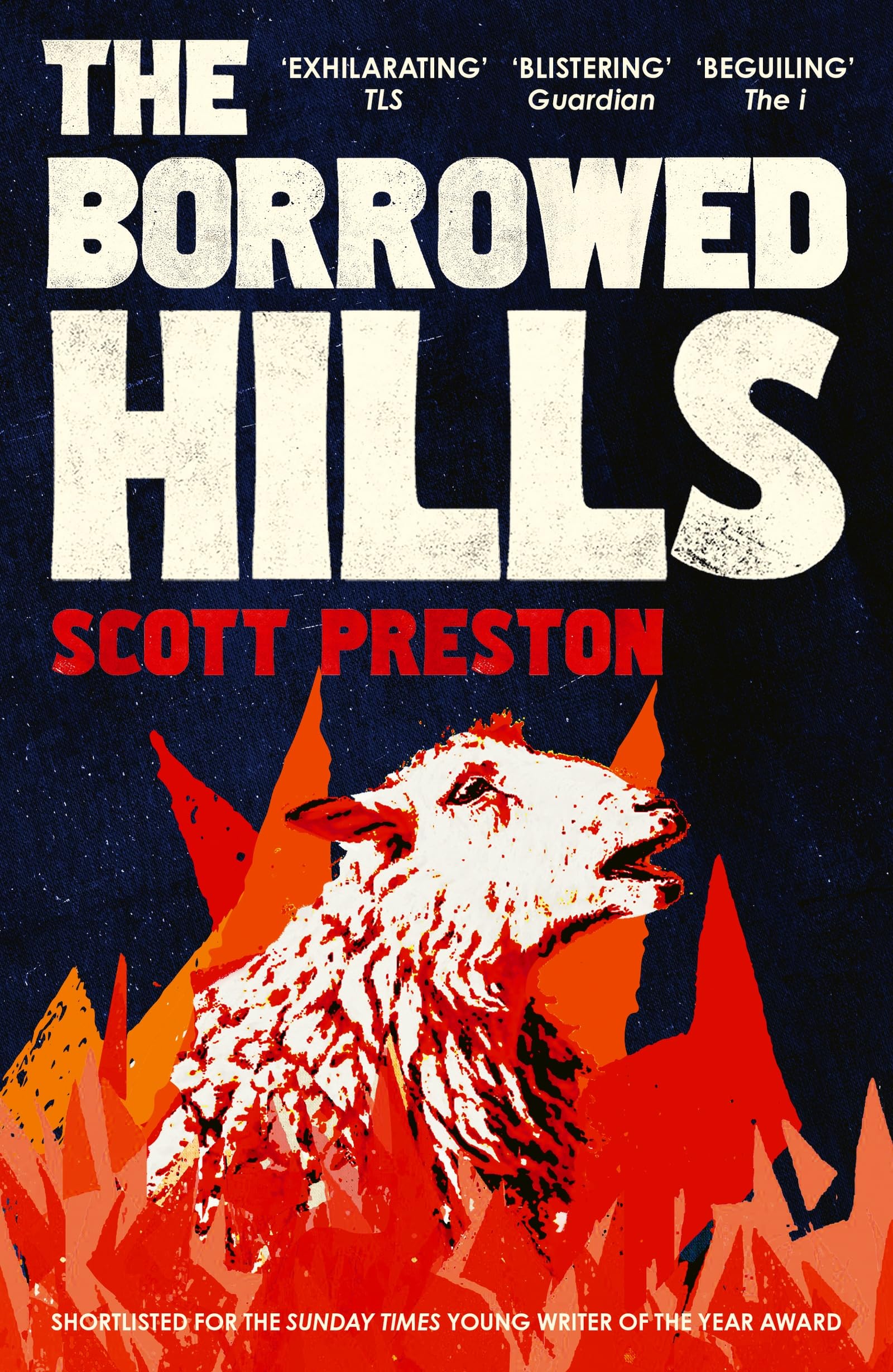 The Borrowed Hills by Scott Preston PAPERBACK 9781399812863