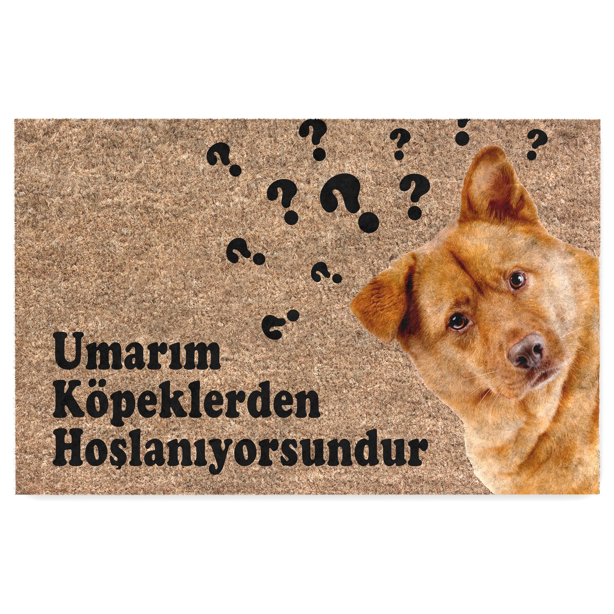 Monnhein Kedi Köpek Komik Tasarımlı Dekoratif Kapı önü Paspas, Dış Mekan/Ev İçi/Banyo/Mutfak/Yatak Odası/Giriş Paspasları (Umarım Köpeklerden Hoşlanıyorsundur, 45x70)
