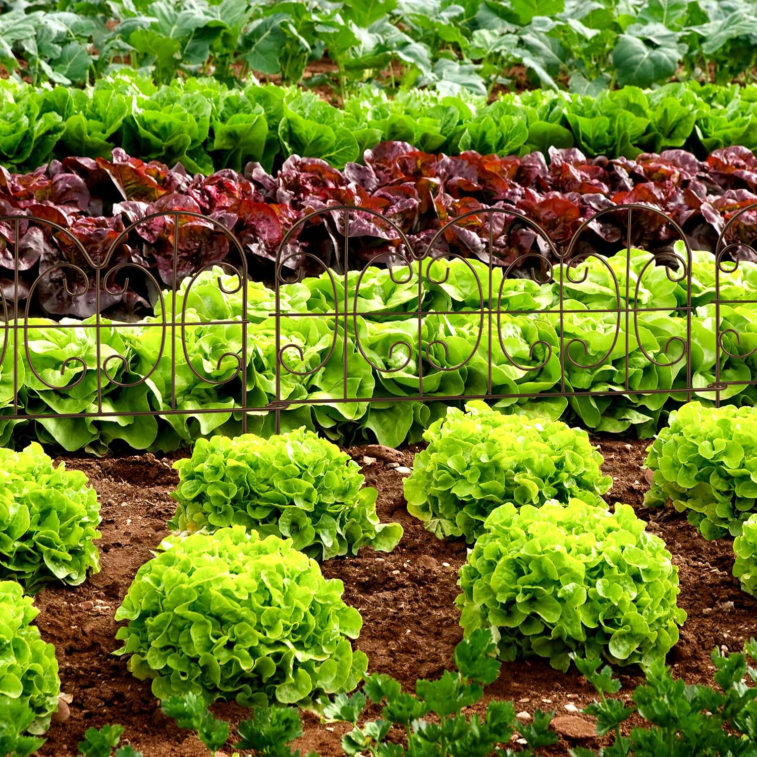 Relaxdays Flower Bed Edging, Set of 4, Metal, H x W: 28 x 38.5 cm, Flower Bed Border for Garden, Decorative Fence for Plugging, Bronze