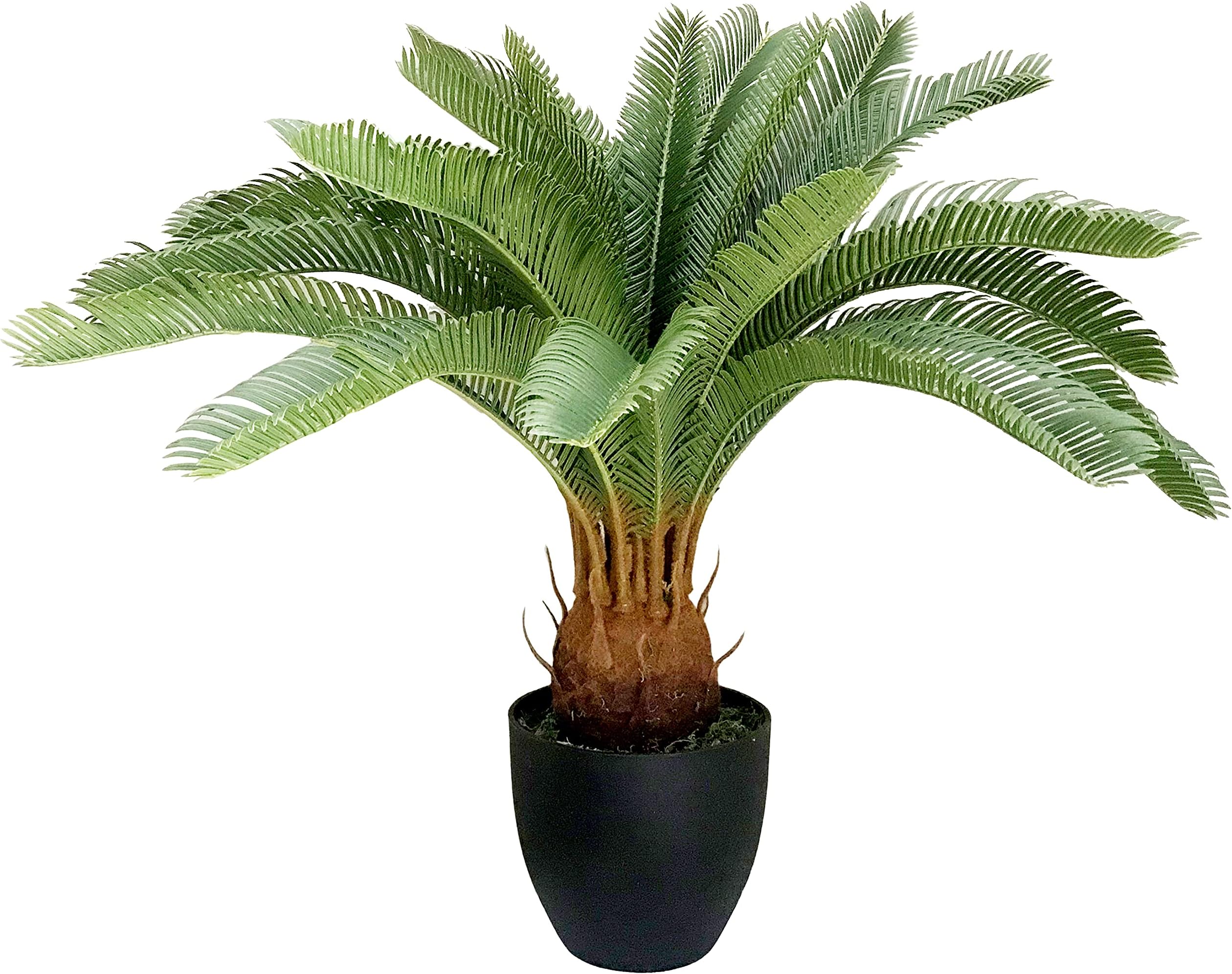 Leaf Design UK Large Artificial Palm Tree, Cycas Tropical, 70cm
