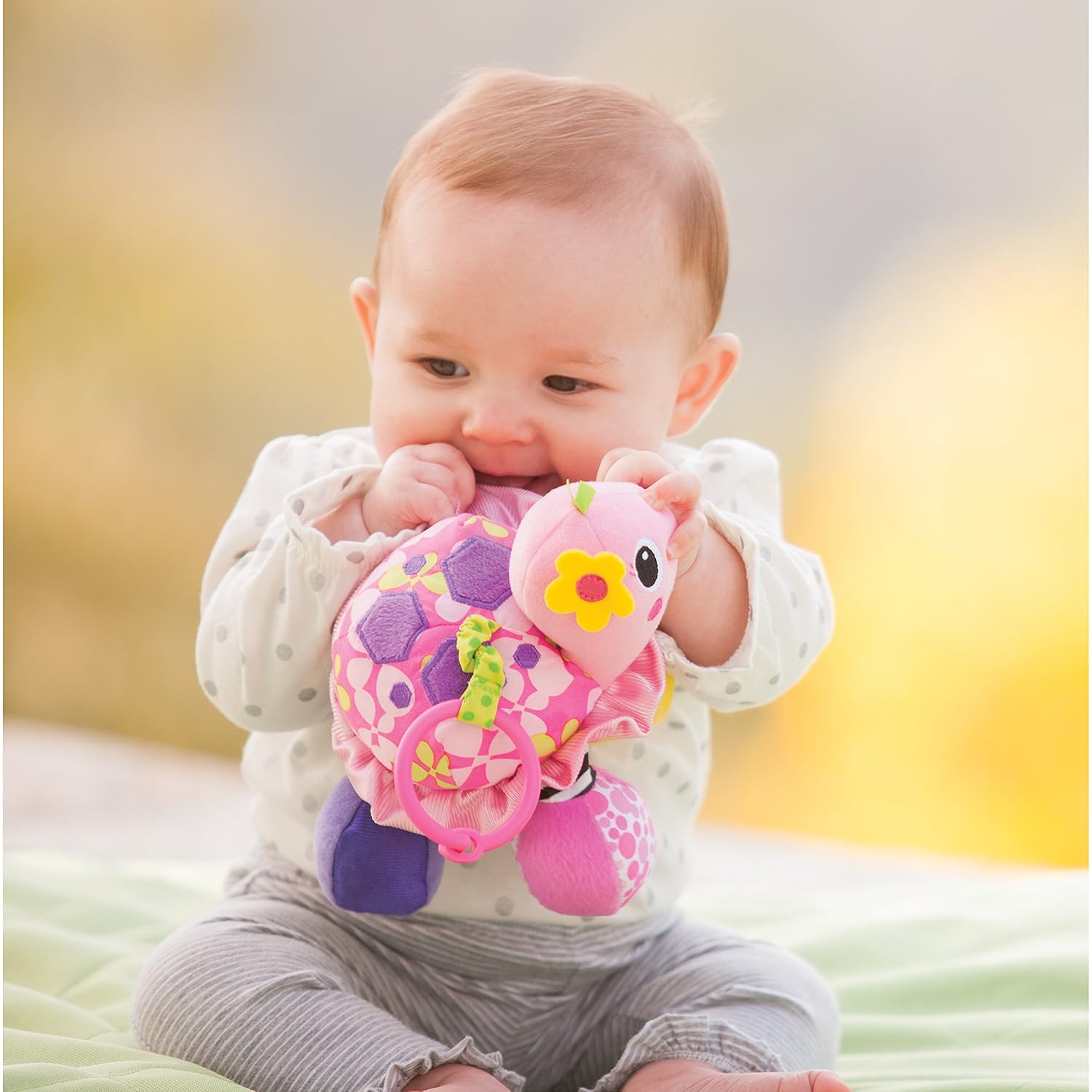 infantino turtle mirror