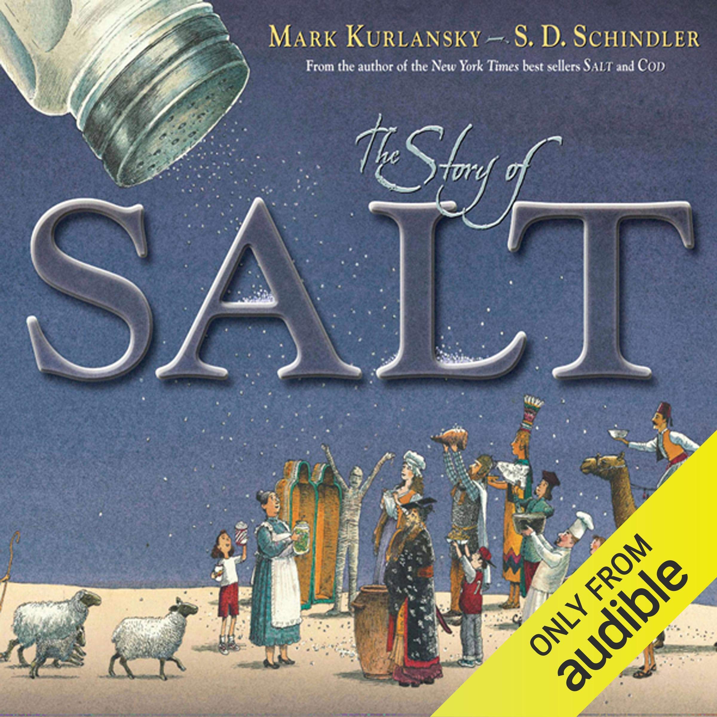 Cover art for The Story of Salt