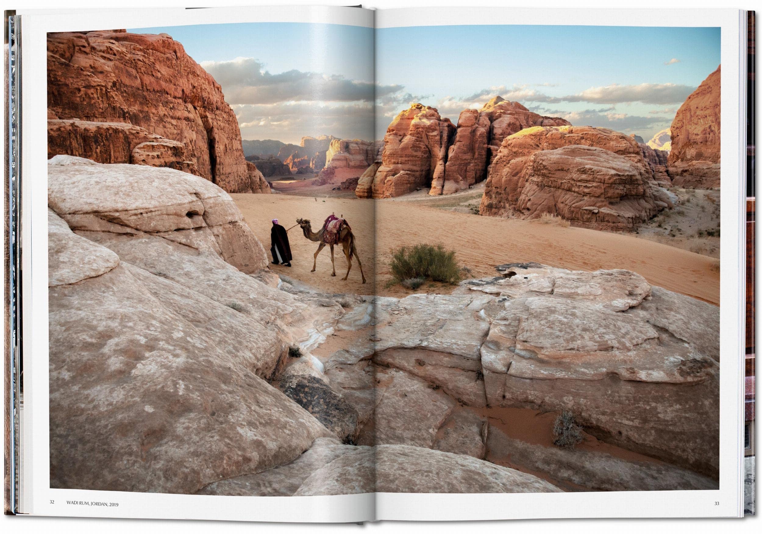 Steve McCurry. Animals: Mehrsprachige Ausgabe