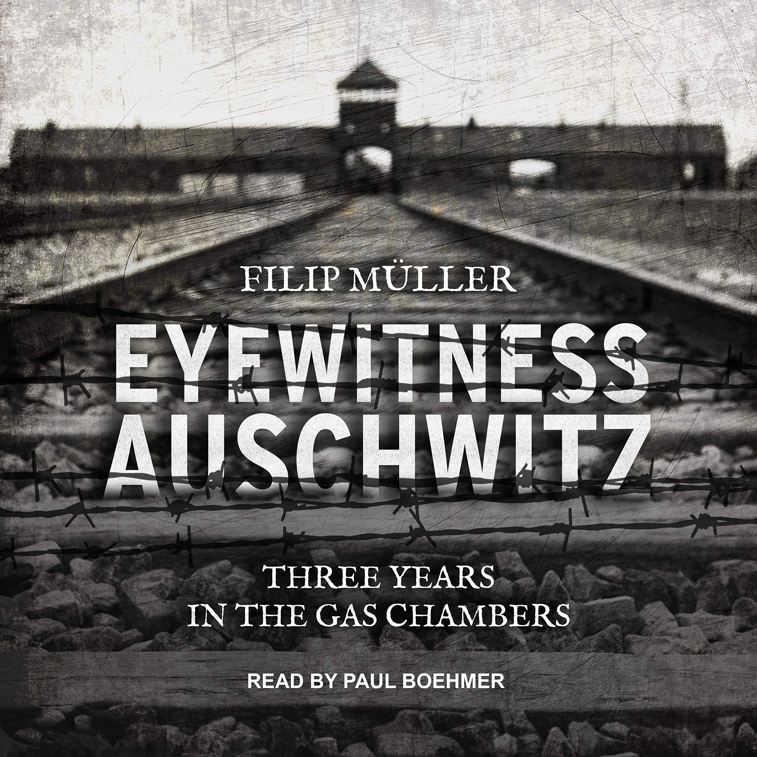 Cover art for Eyewitness Auschwitz