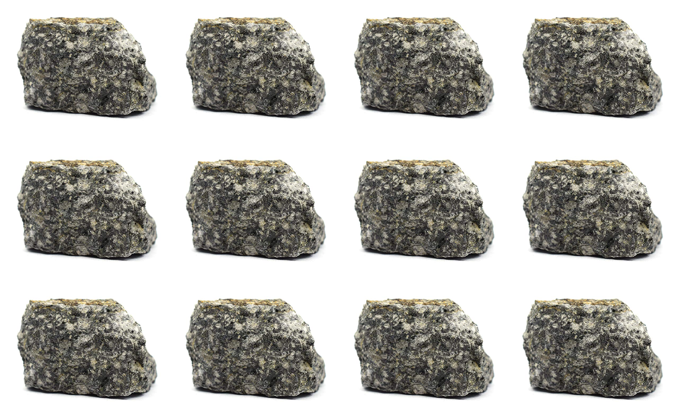 EISCO 12PK Raw Andesite, Igneous Rock Specimens - Approx. 1" - Geologist Selected & Hand Processed - Great for Science Classrooms - Class Pack