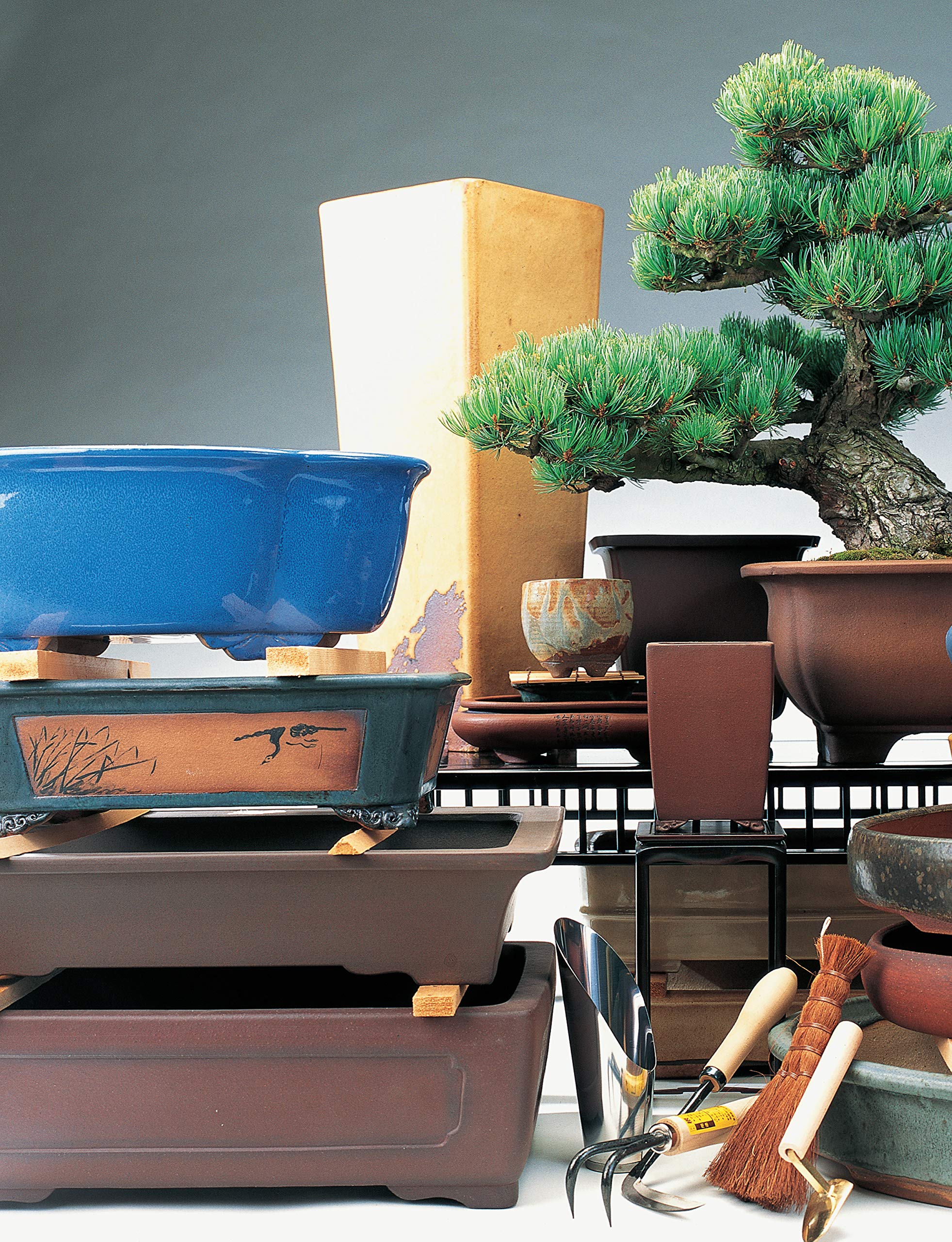 The Bonsai Handbook