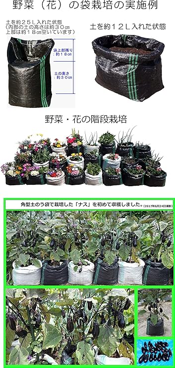 Amazon 袋栽培 Uv剤配合 黒50枚 プランター 鉢兼用 花 野菜の根の成長に優れた網目状の メッシュ栽培袋uv黒pe 50枚 通気性 通水性良好 鉢底石不要 根腐れ 蒸れ 倒れ難い 大型小型の鉢高調整自由 屋外使用約３年以上 春 夏野菜 ナス ニラ キュウリ トマト
