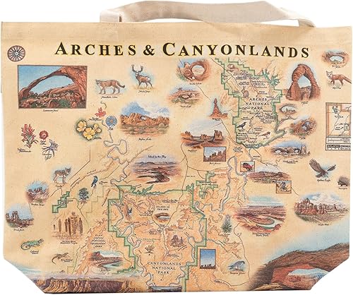 Vista 43 de Xplorer Maps Bolsa de lona con asas, bolsa de compras de comestibles de tela, bolsa reutilizable y ecológica, 100% algodón, lavable California’s