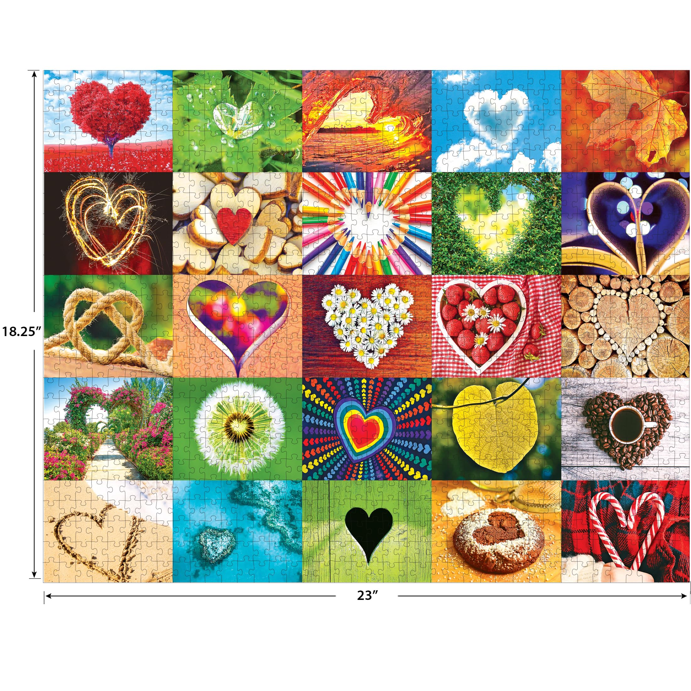 Amazon.com: RoseArt - Kodak Premium - 4-in-1 Multipack - 1000