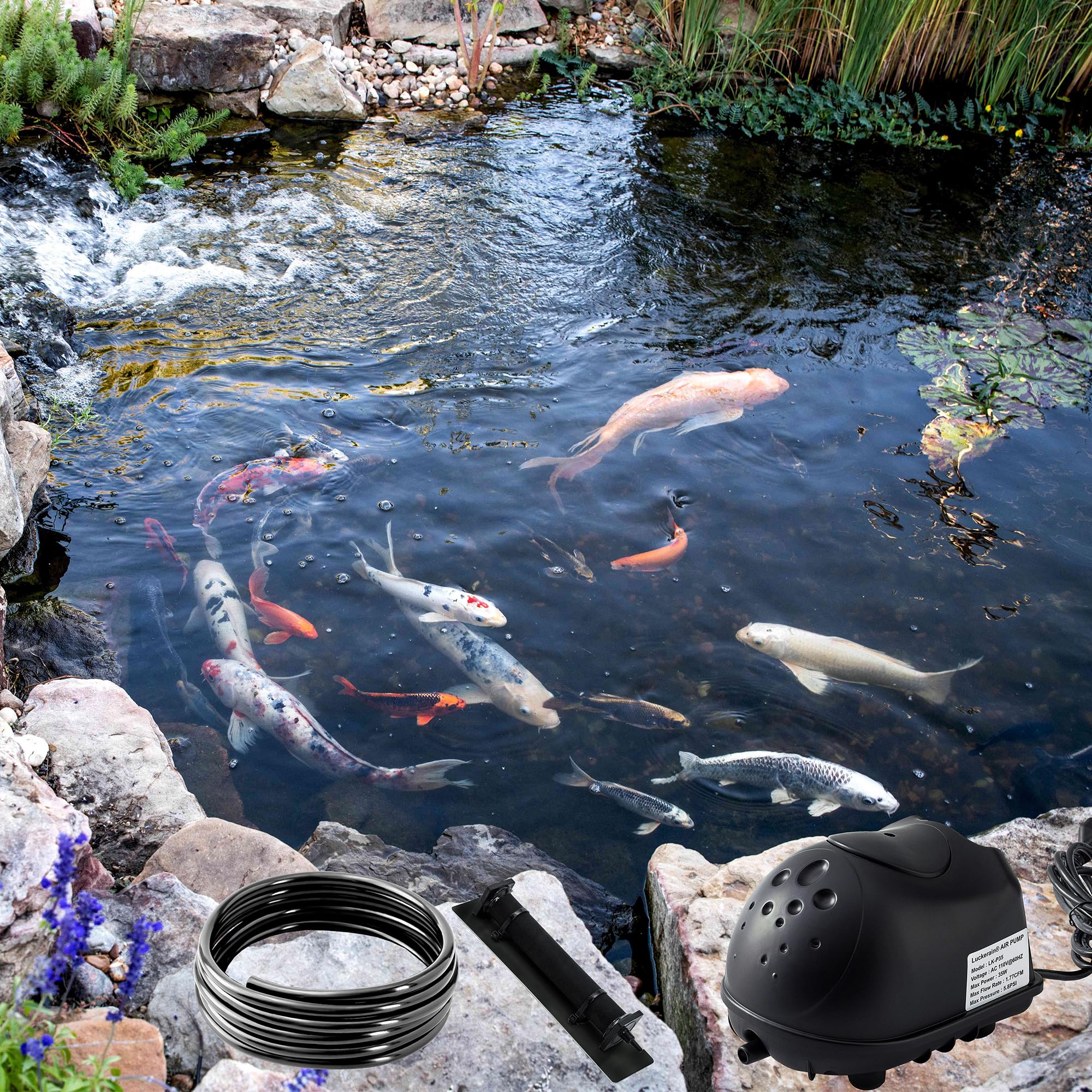 Luckerain Kit de aireador y aireación de estanque, kit de bomba de aire séptica para estanque de agua y jardín, para sistema de aireación de estanque todo en uno de hasta 8000 galones, línea de aire